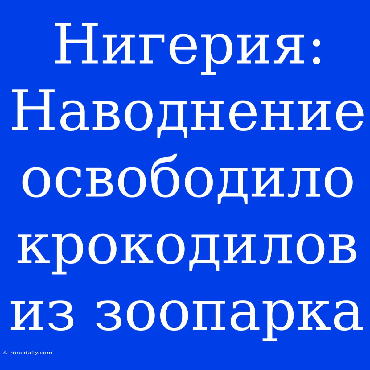 Нигерия: Наводнение Освободило Крокодилов Из Зоопарка