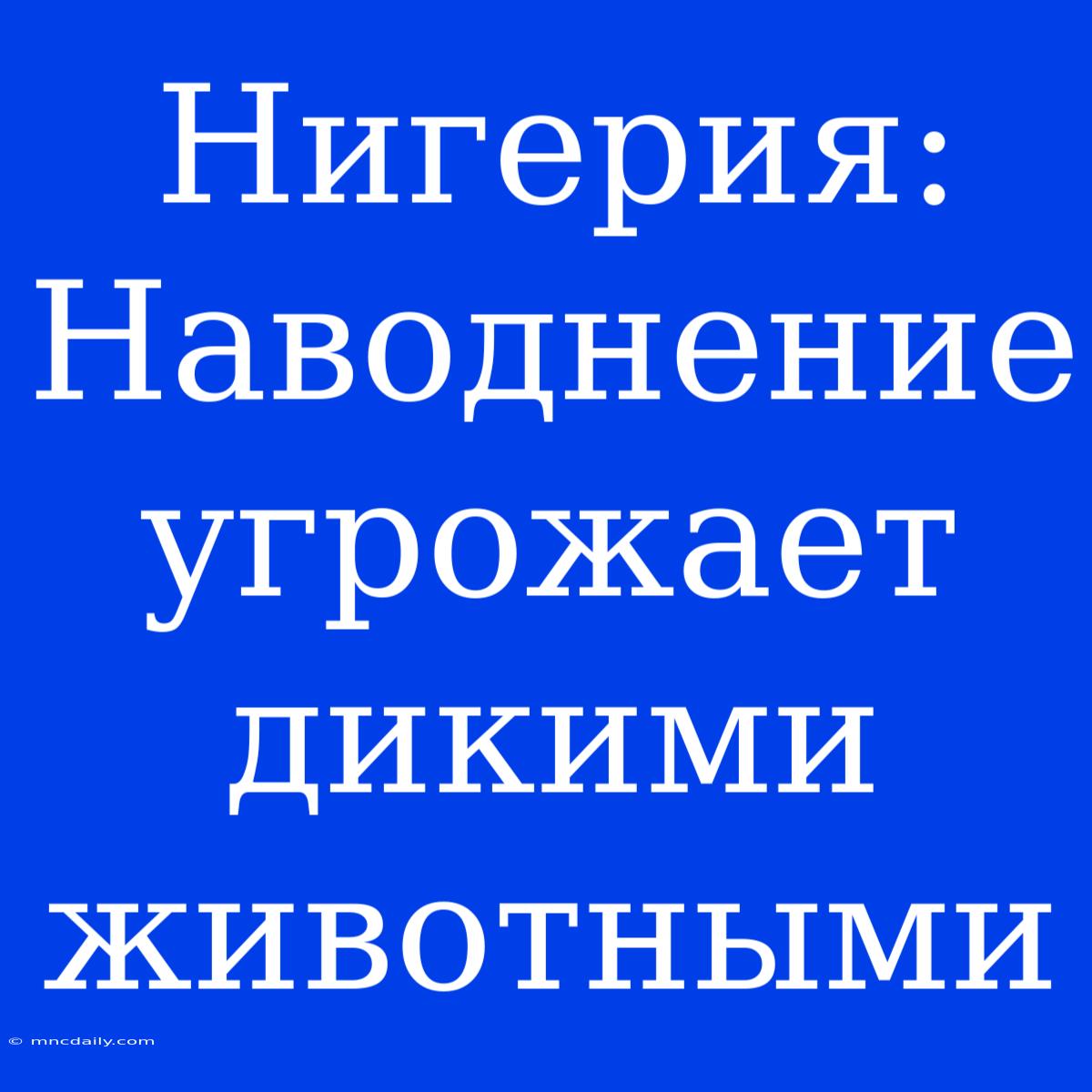 Нигерия: Наводнение Угрожает Дикими Животными