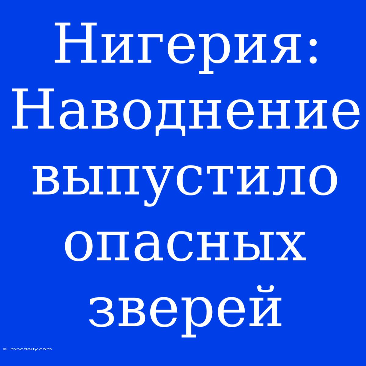 Нигерия: Наводнение Выпустило Опасных Зверей