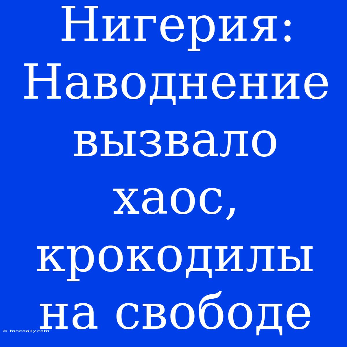 Нигерия: Наводнение Вызвало Хаос, Крокодилы На Свободе