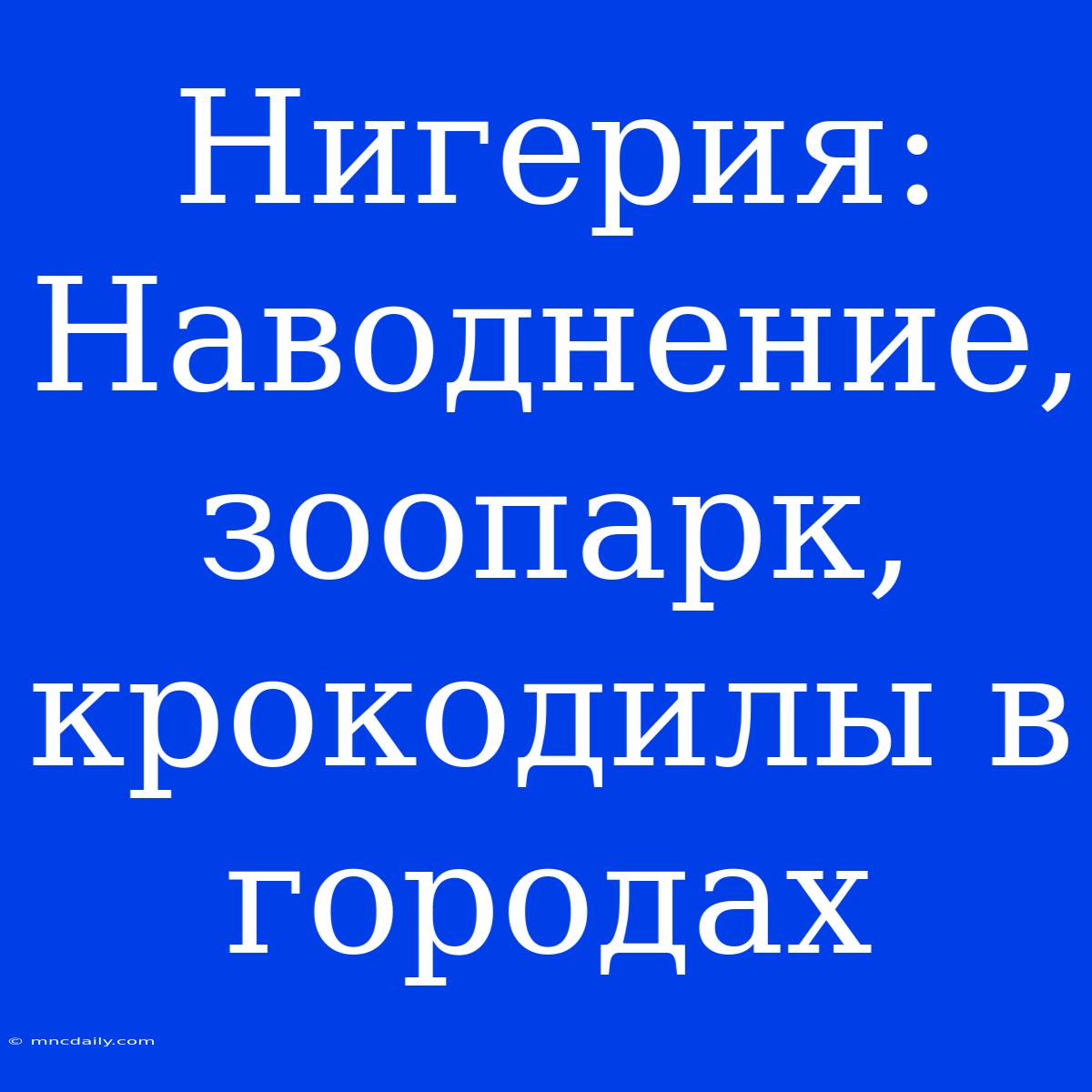 Нигерия: Наводнение, Зоопарк, Крокодилы В Городах