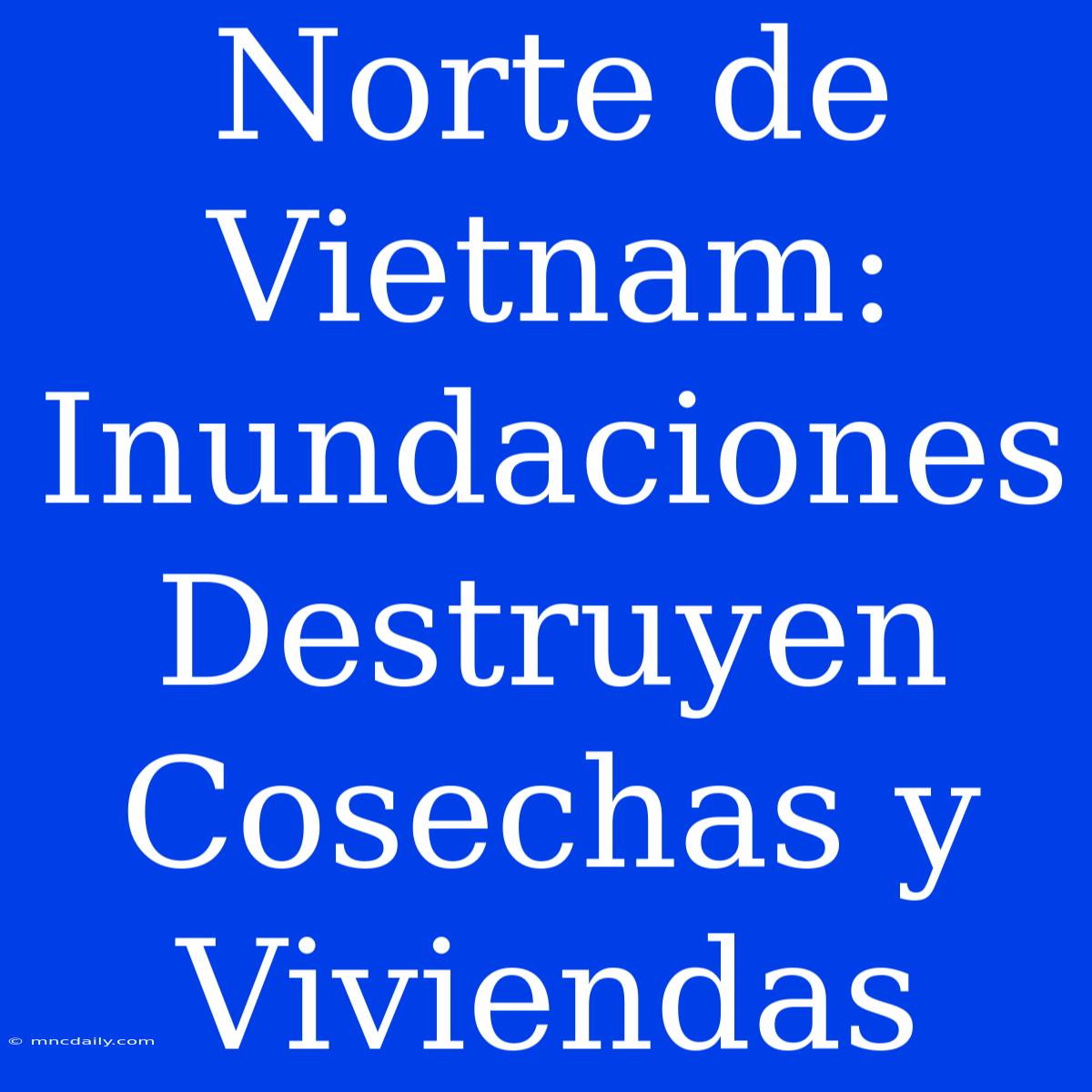 Norte De Vietnam: Inundaciones Destruyen Cosechas Y Viviendas