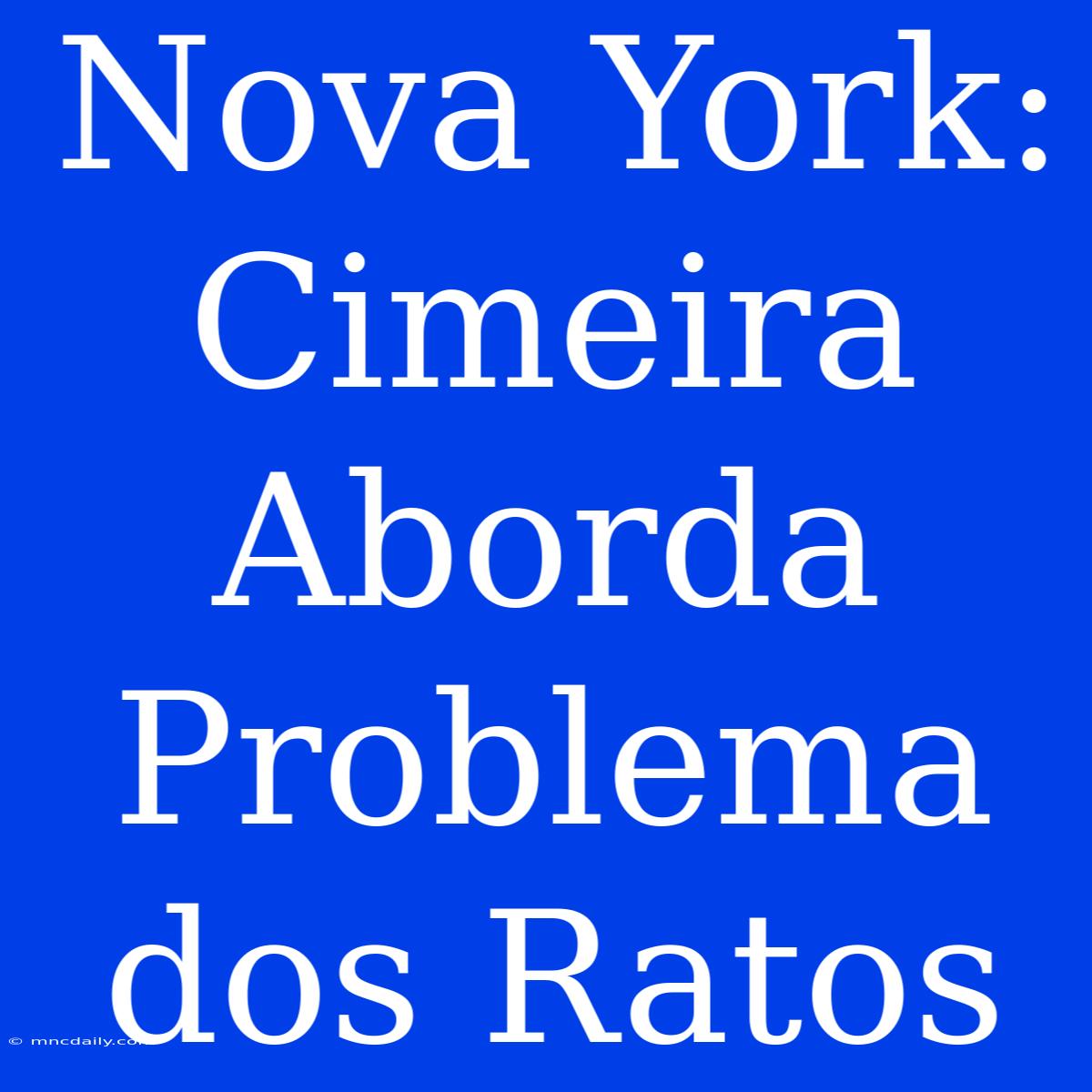 Nova York: Cimeira Aborda Problema Dos Ratos