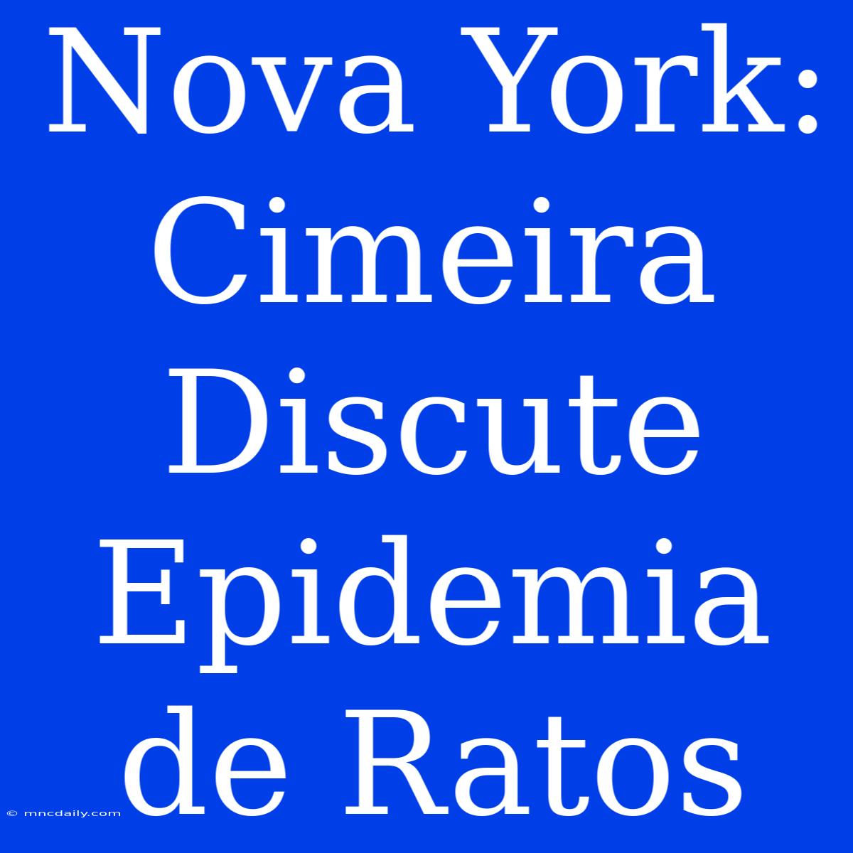 Nova York: Cimeira Discute Epidemia De Ratos