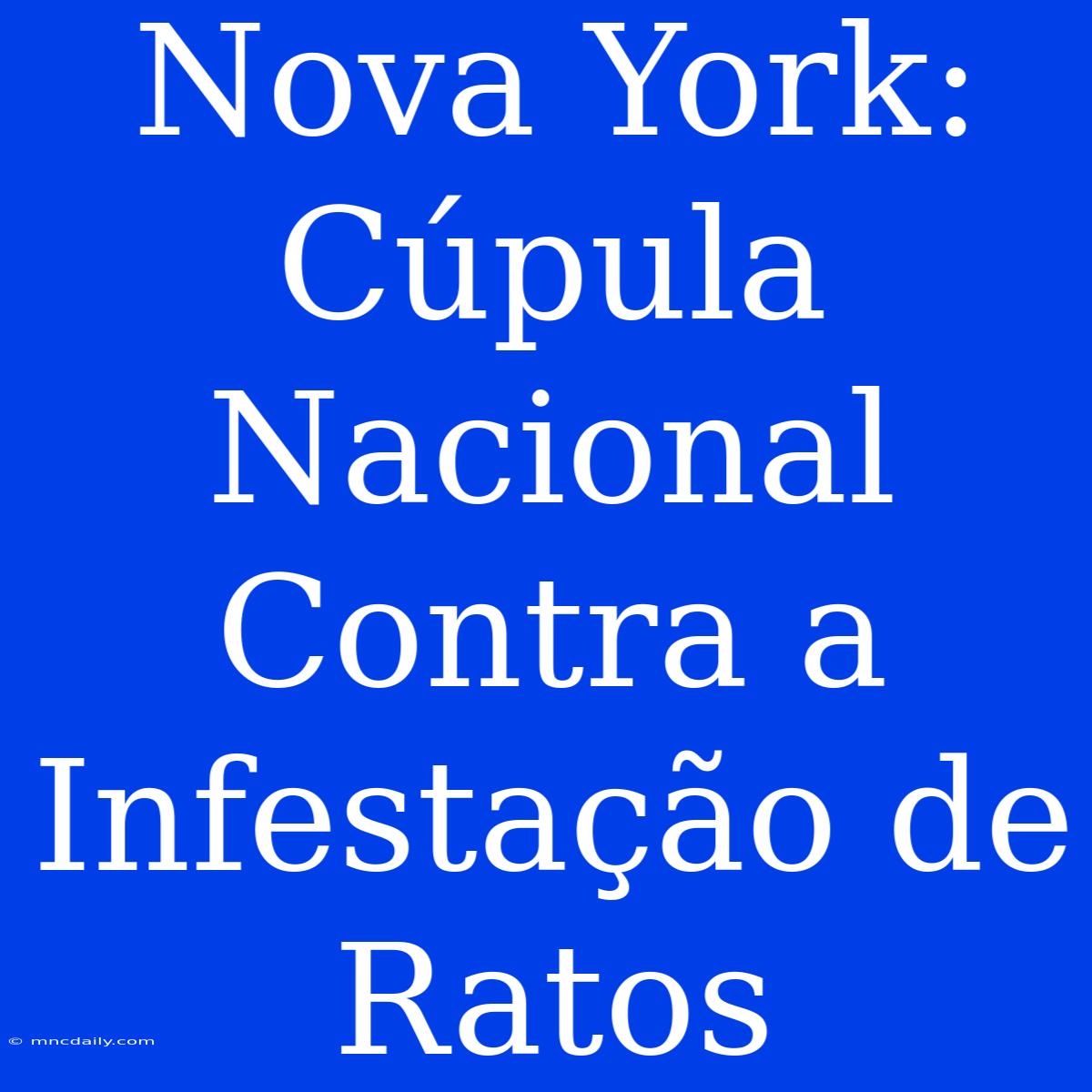 Nova York: Cúpula Nacional Contra A Infestação De Ratos