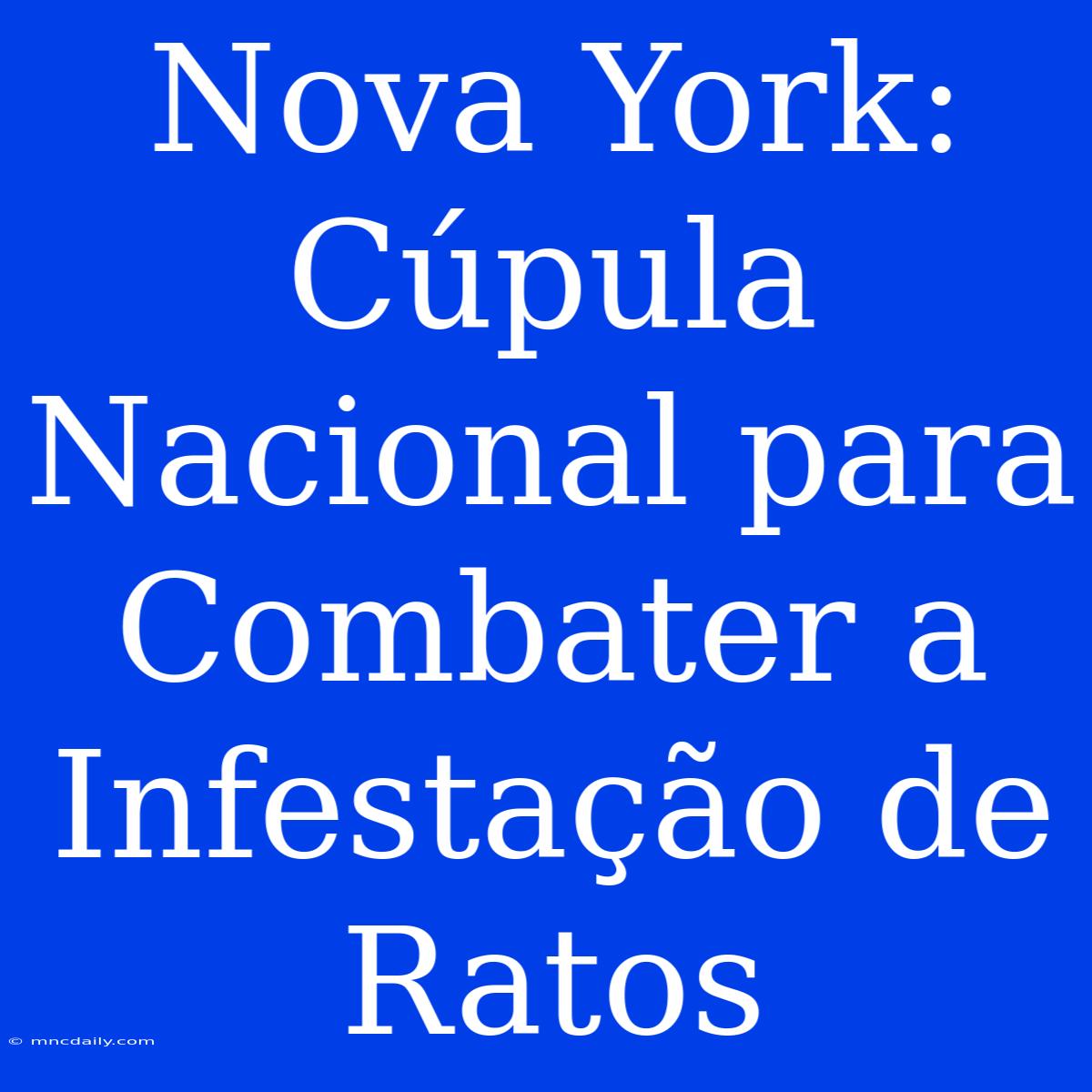 Nova York: Cúpula Nacional Para Combater A Infestação De Ratos