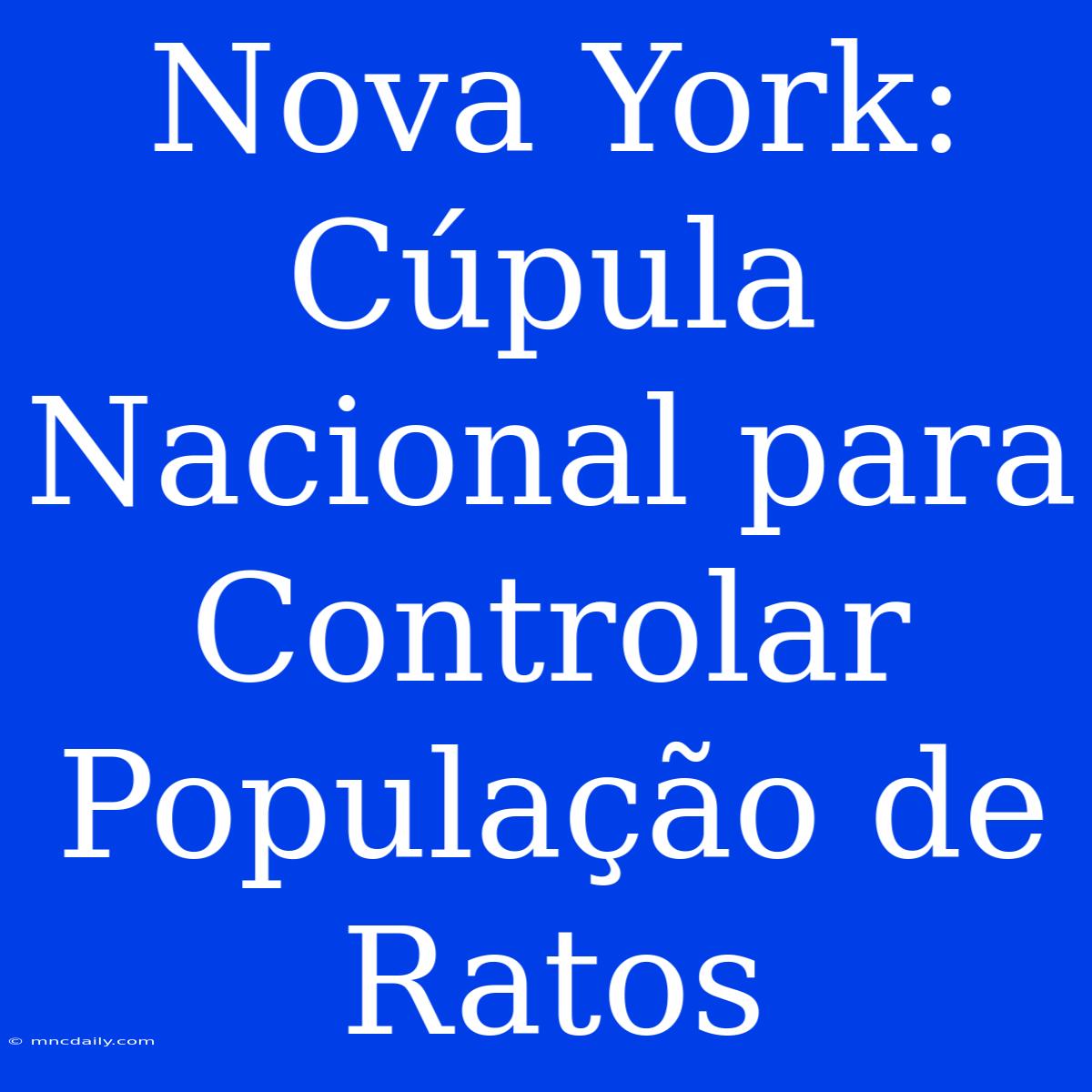 Nova York: Cúpula Nacional Para Controlar População De Ratos