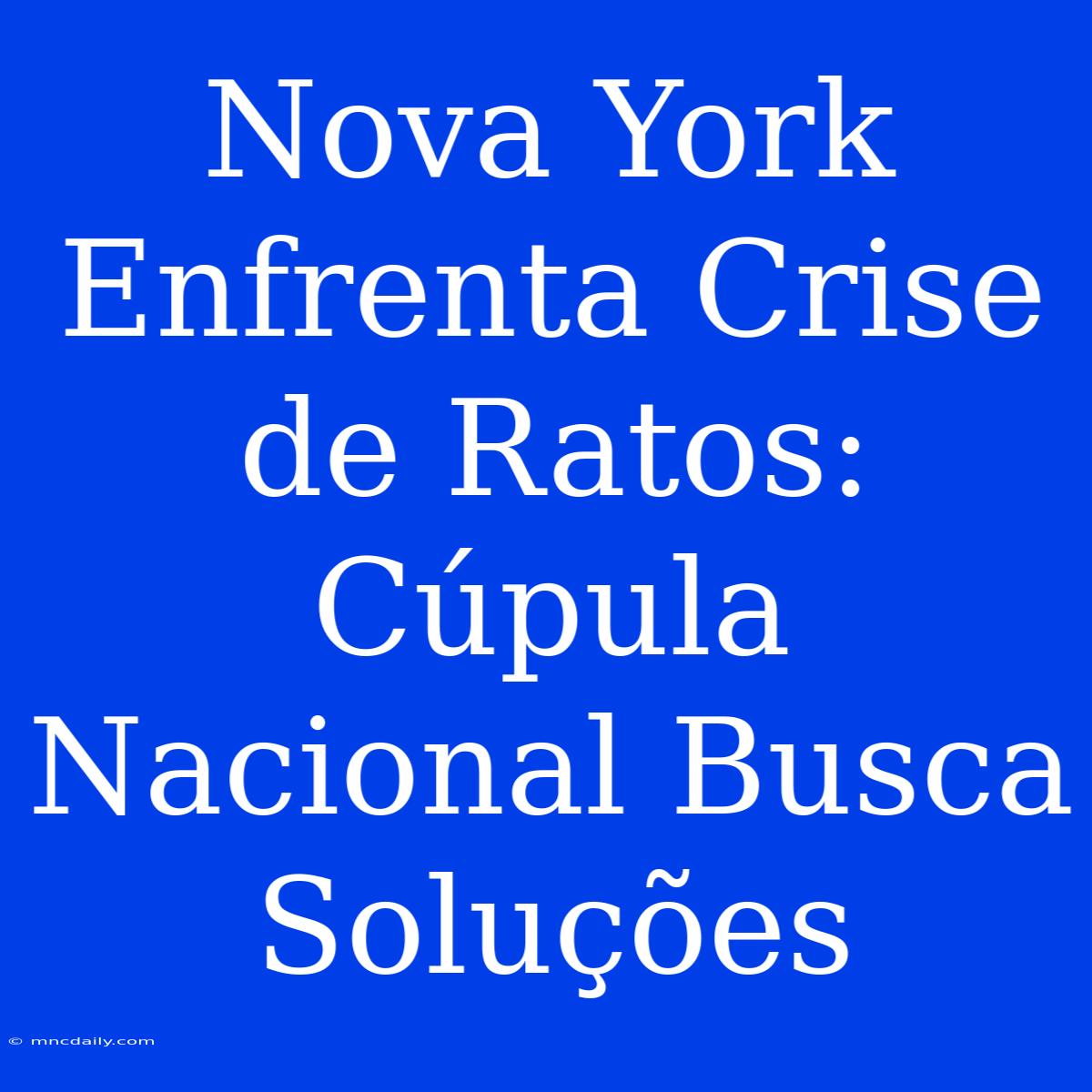 Nova York Enfrenta Crise De Ratos: Cúpula Nacional Busca Soluções