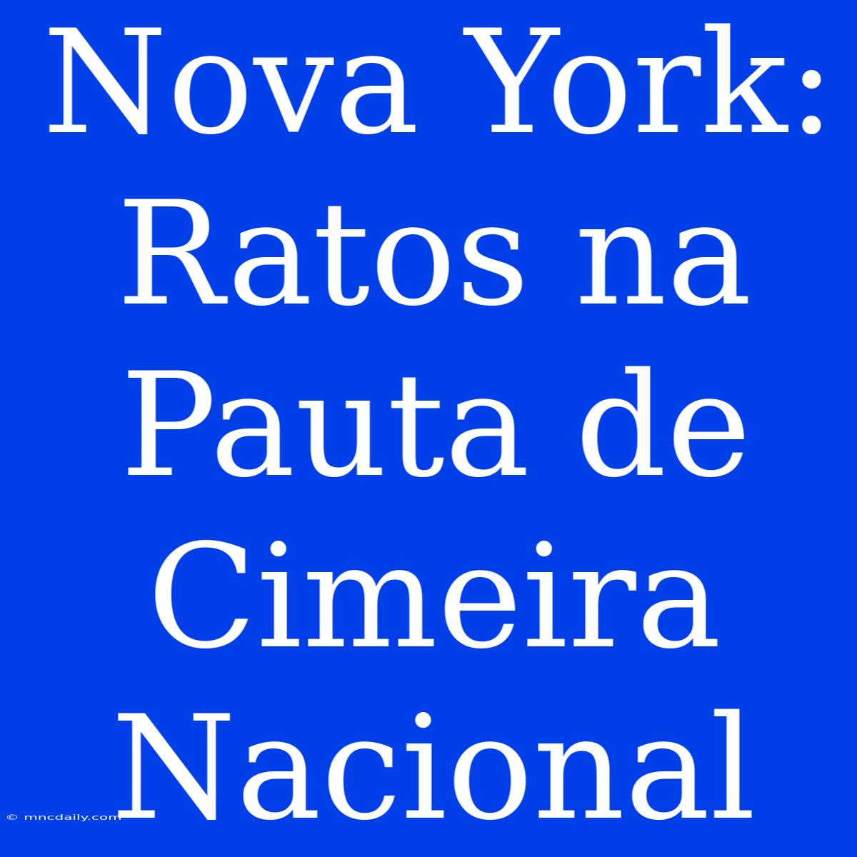 Nova York: Ratos Na Pauta De Cimeira Nacional