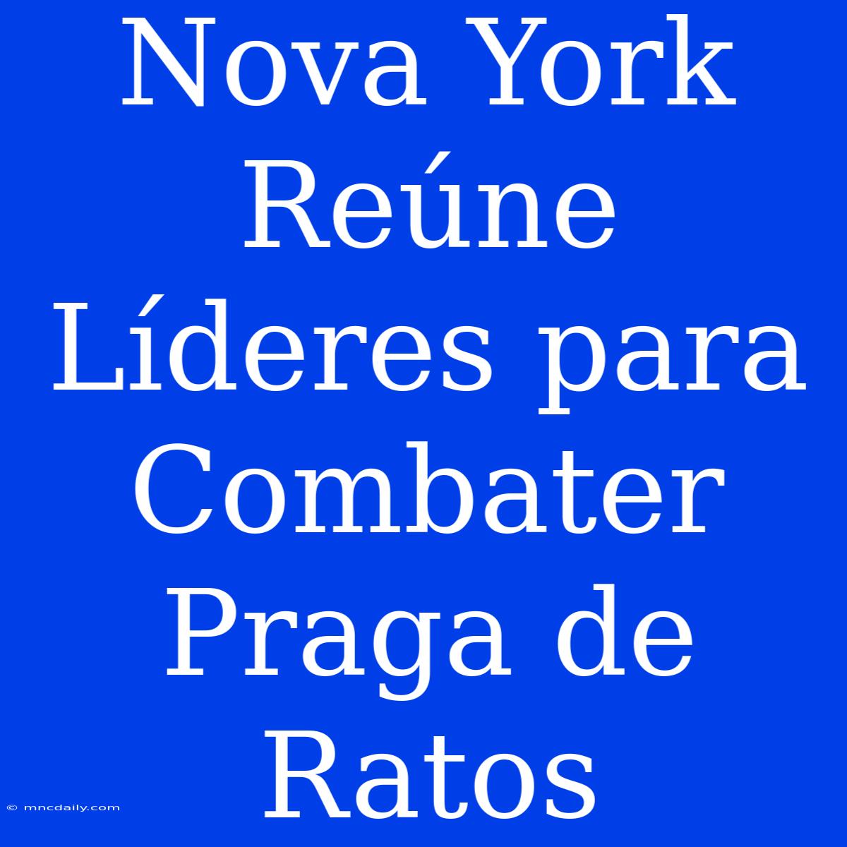 Nova York Reúne Líderes Para Combater Praga De Ratos