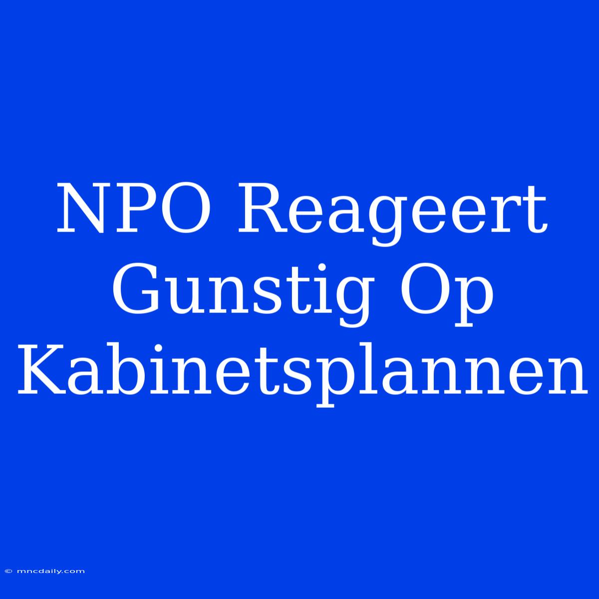 NPO Reageert Gunstig Op Kabinetsplannen