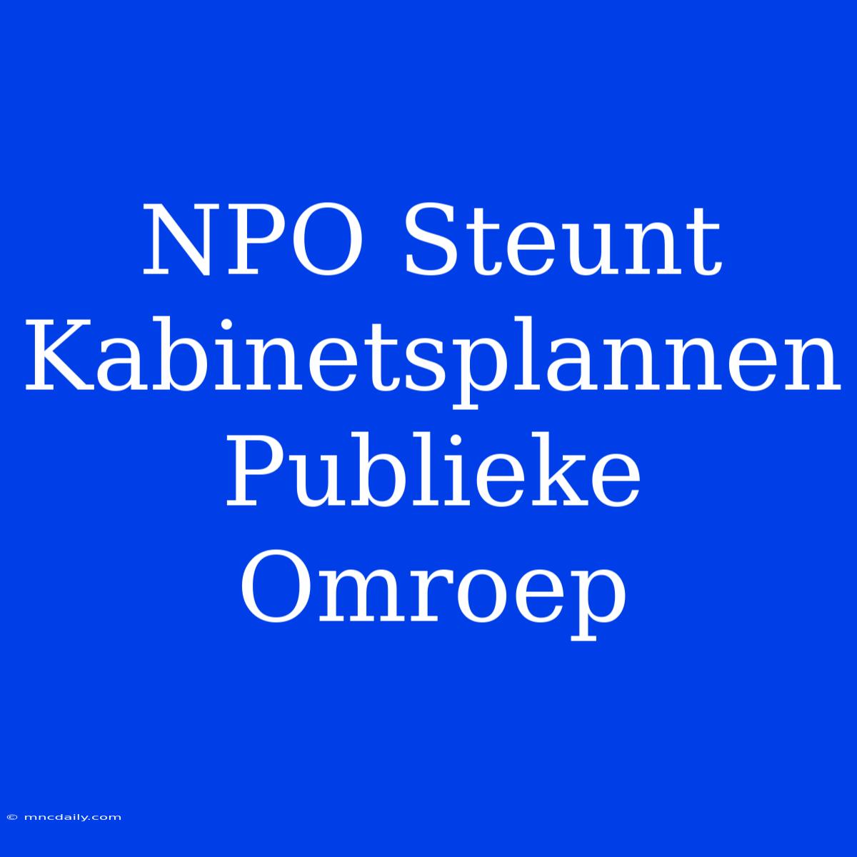 NPO Steunt Kabinetsplannen Publieke Omroep