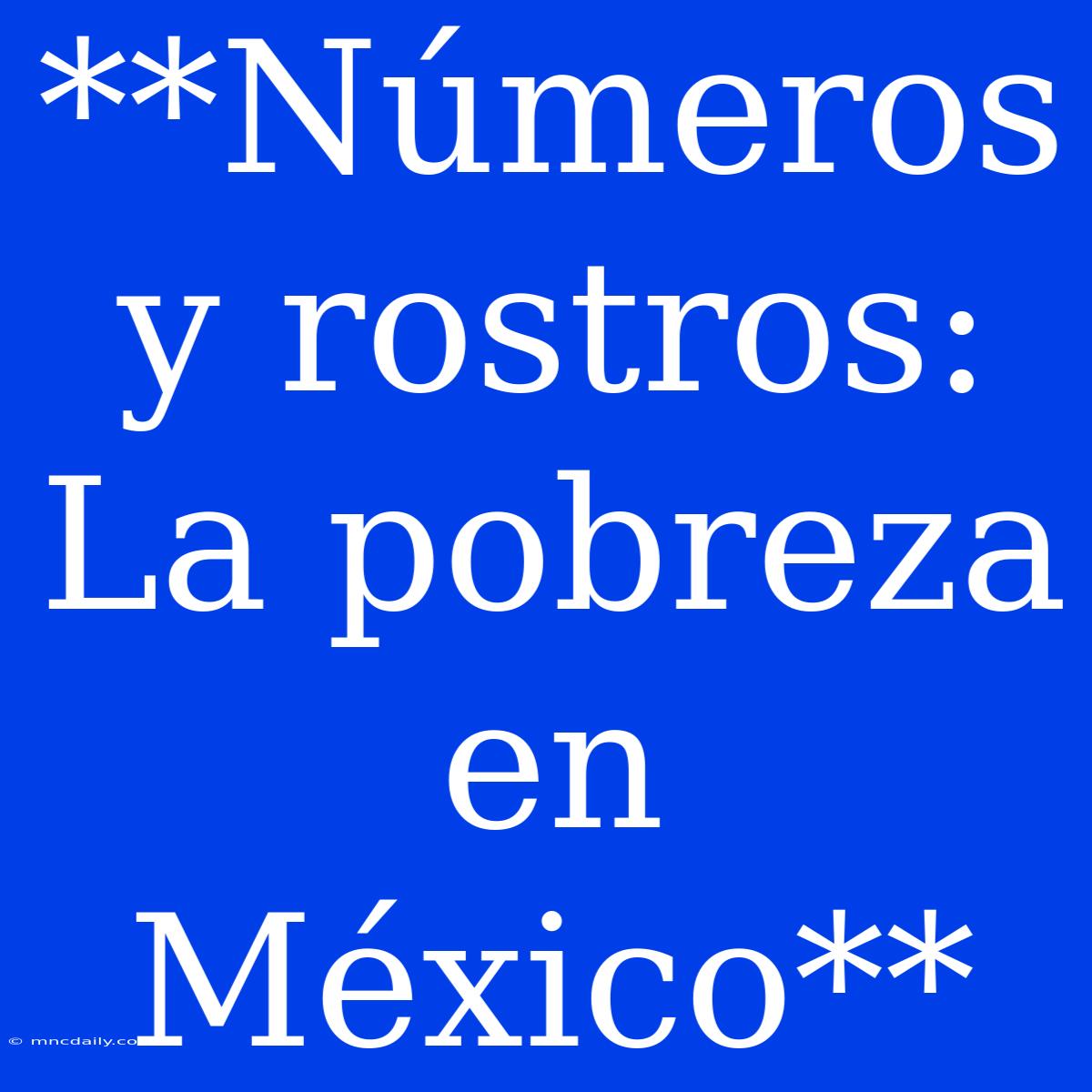 **Números Y Rostros: La Pobreza En México**