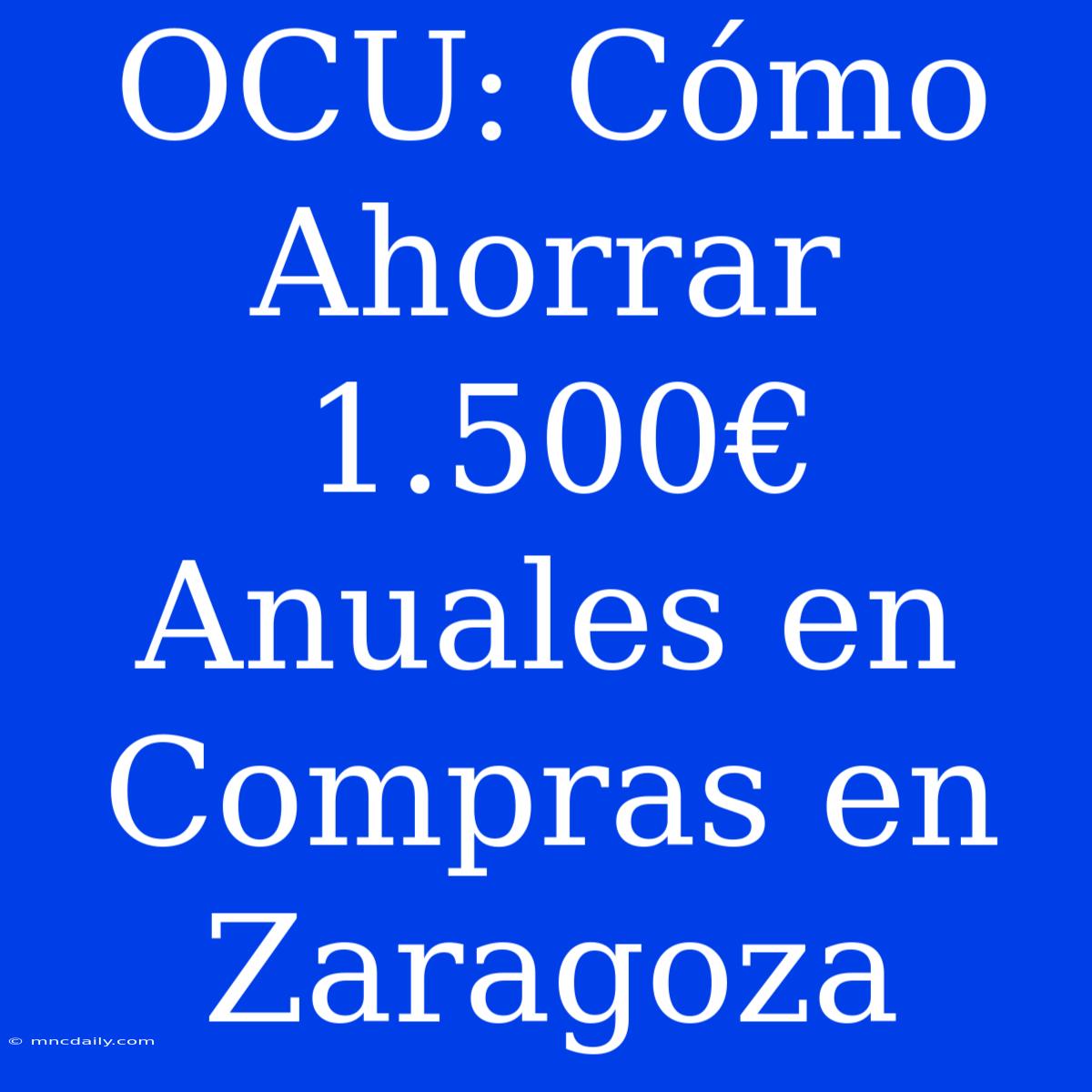 OCU: Cómo Ahorrar 1.500€ Anuales En Compras En Zaragoza