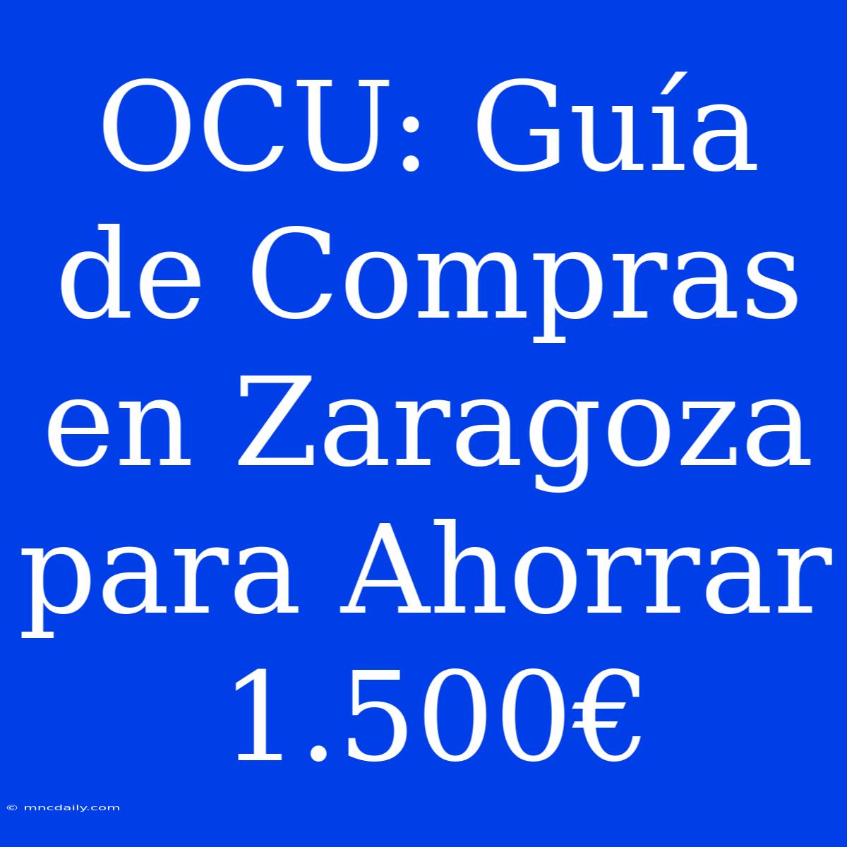 OCU: Guía De Compras En Zaragoza Para Ahorrar 1.500€ 