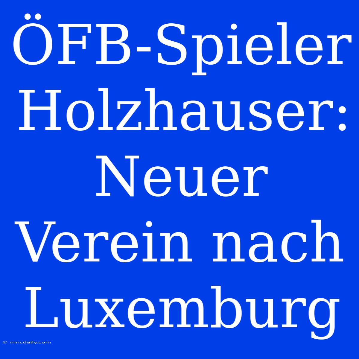 ÖFB-Spieler Holzhauser: Neuer Verein Nach Luxemburg 