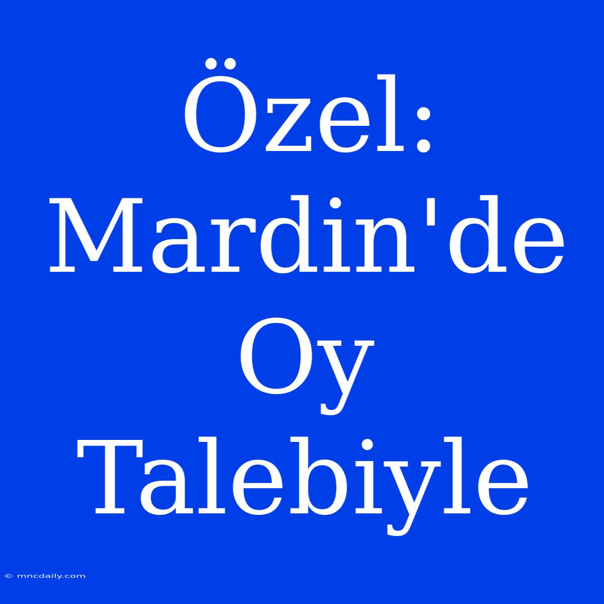 Özel: Mardin'de Oy Talebiyle