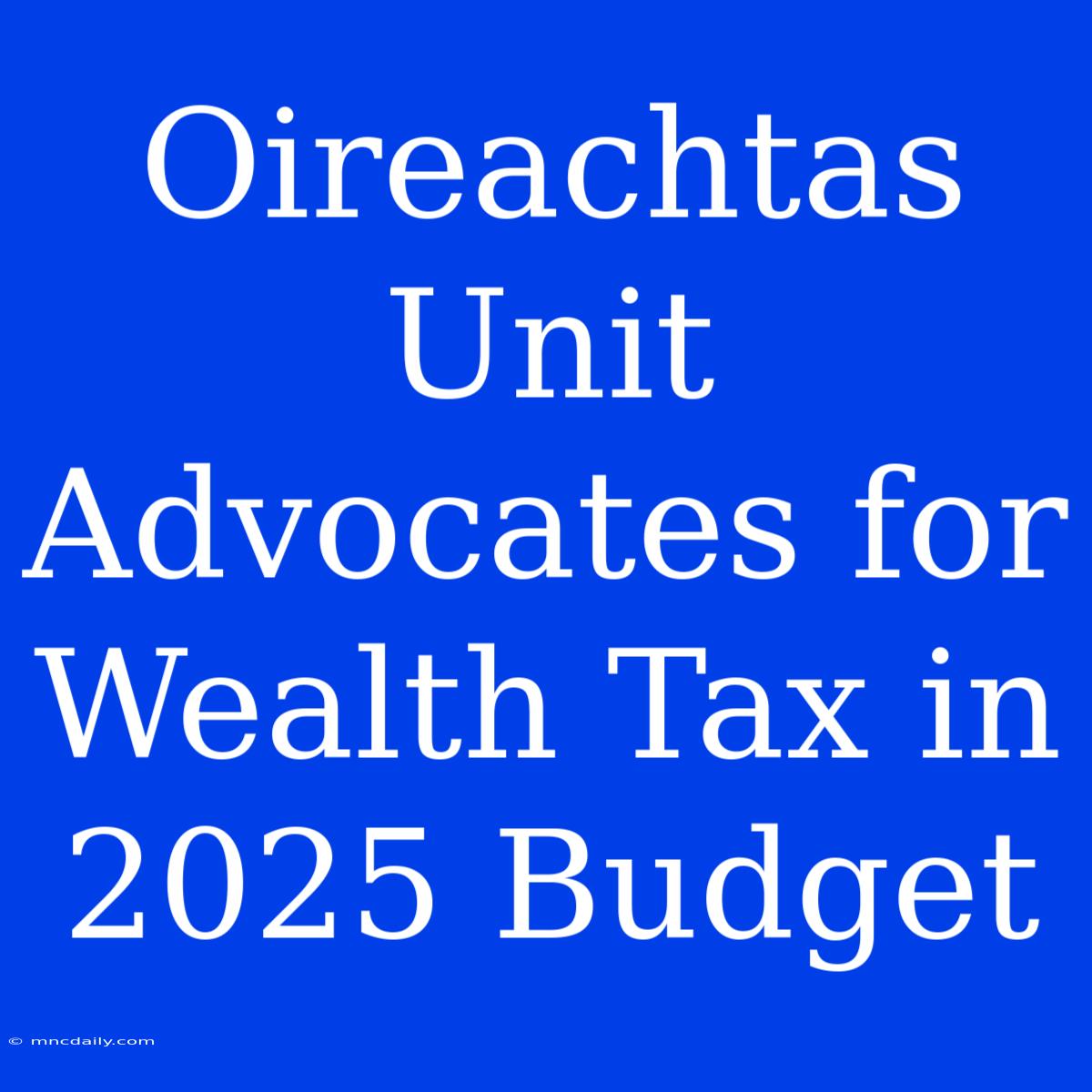 Oireachtas Unit Advocates For Wealth Tax In 2025 Budget 