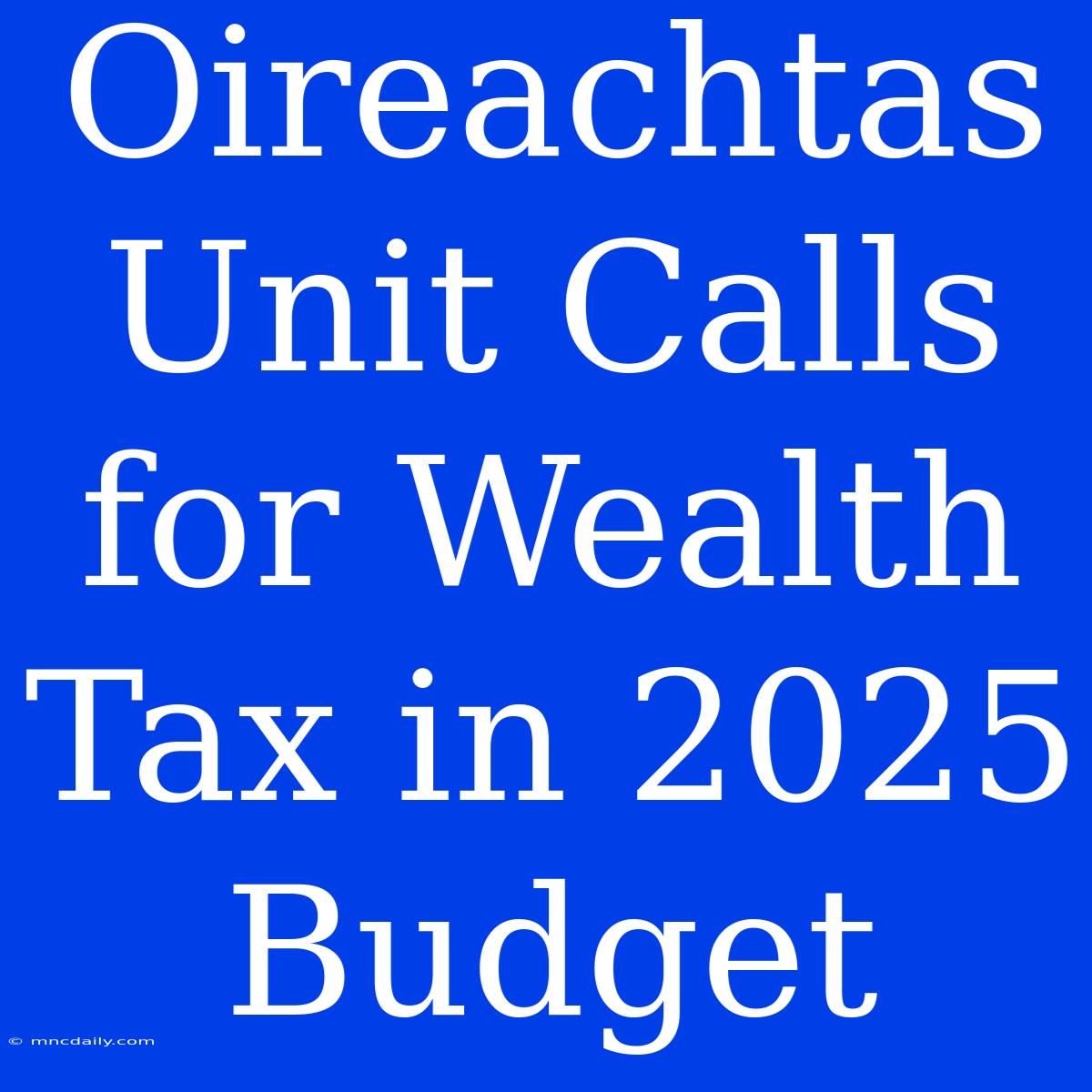 Oireachtas Unit Calls For Wealth Tax In 2025 Budget