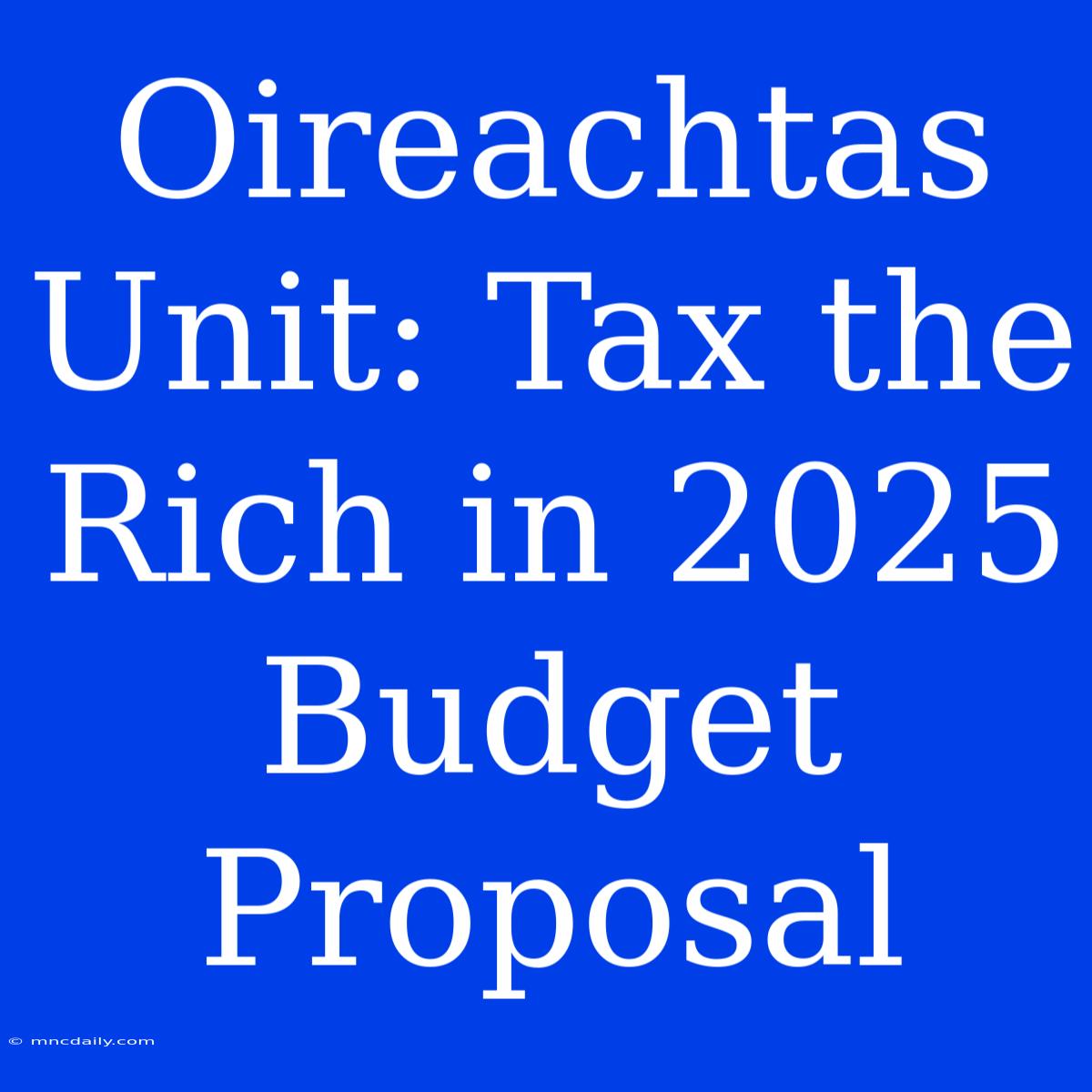 Oireachtas Unit: Tax The Rich In 2025 Budget Proposal