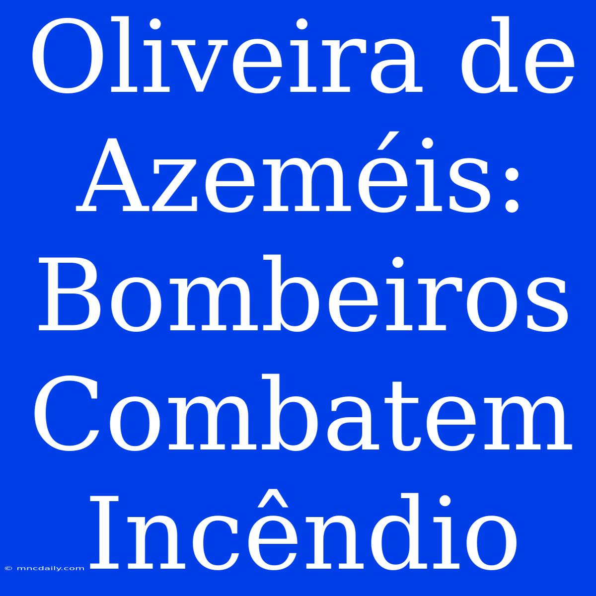 Oliveira De Azeméis: Bombeiros Combatem Incêndio