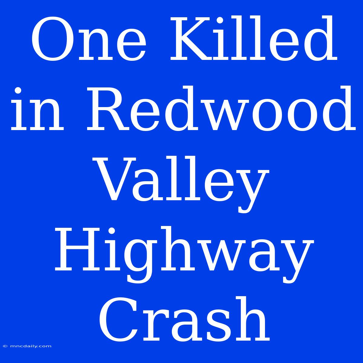 One Killed In Redwood Valley Highway Crash