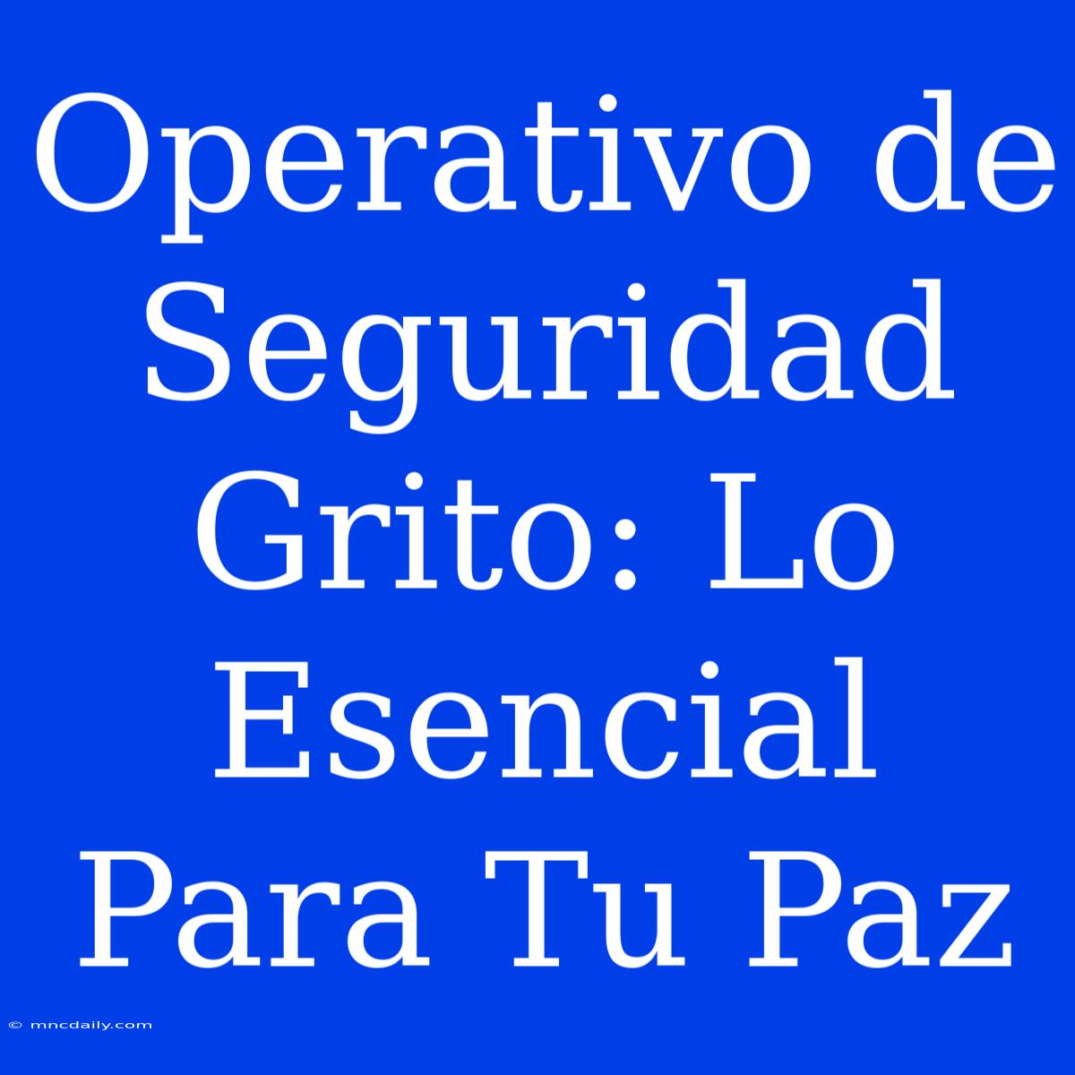 Operativo De Seguridad Grito: Lo Esencial Para Tu Paz