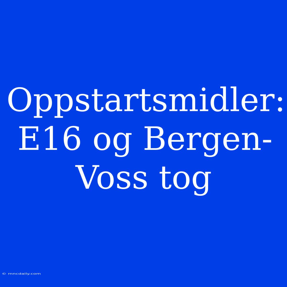 Oppstartsmidler: E16 Og Bergen-Voss Tog