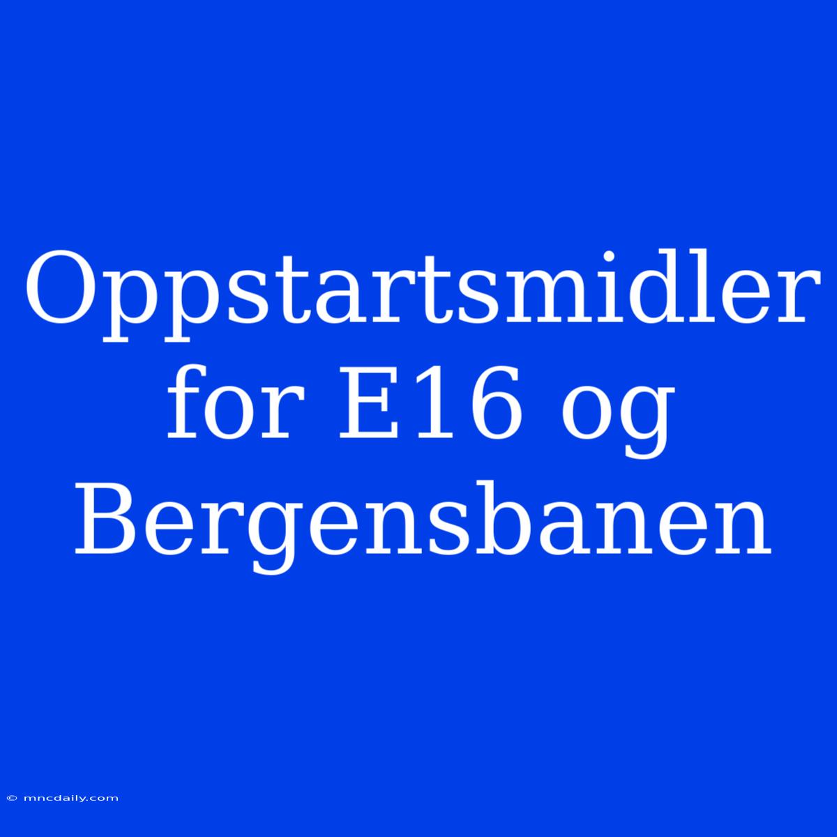 Oppstartsmidler For E16 Og Bergensbanen