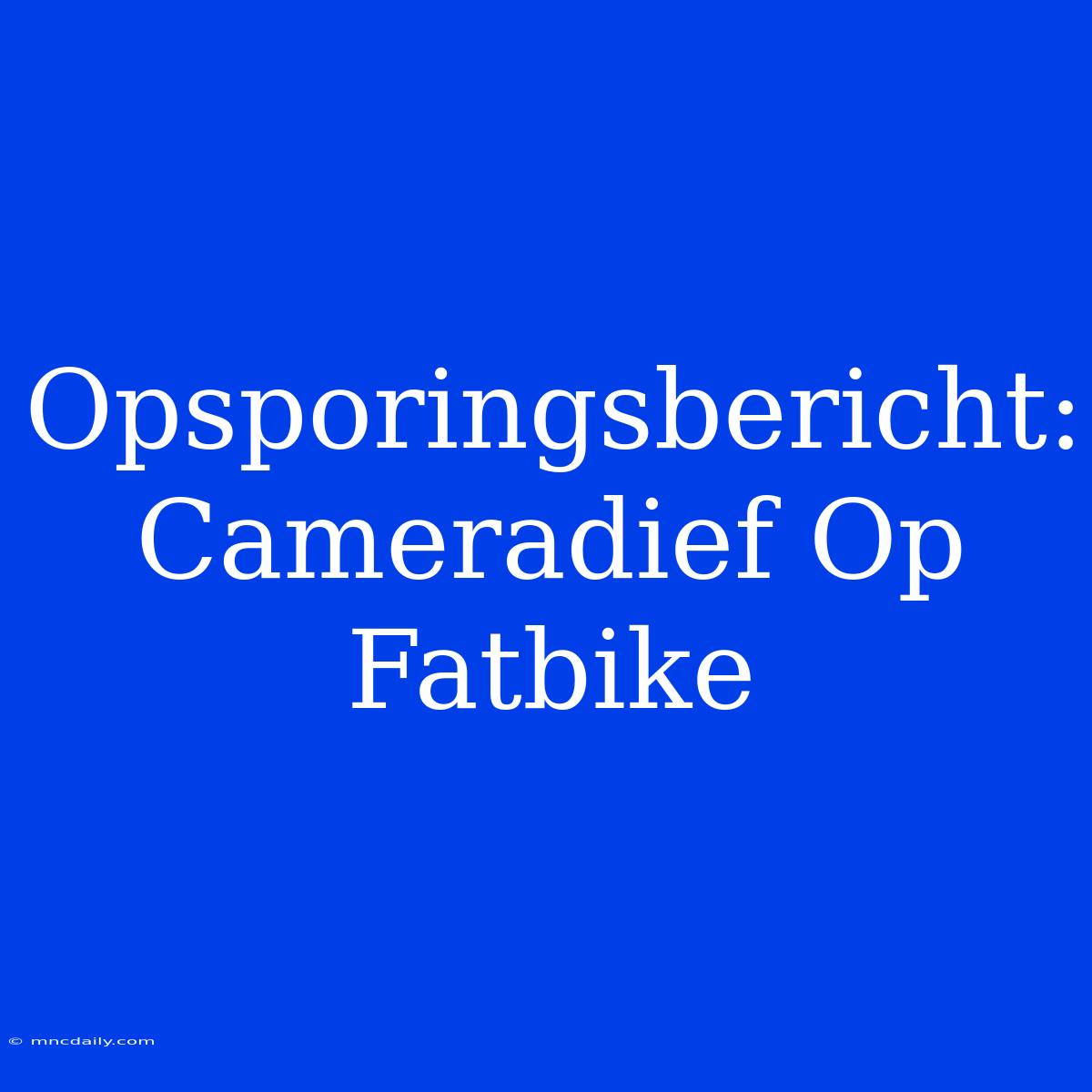 Opsporingsbericht: Cameradief Op Fatbike