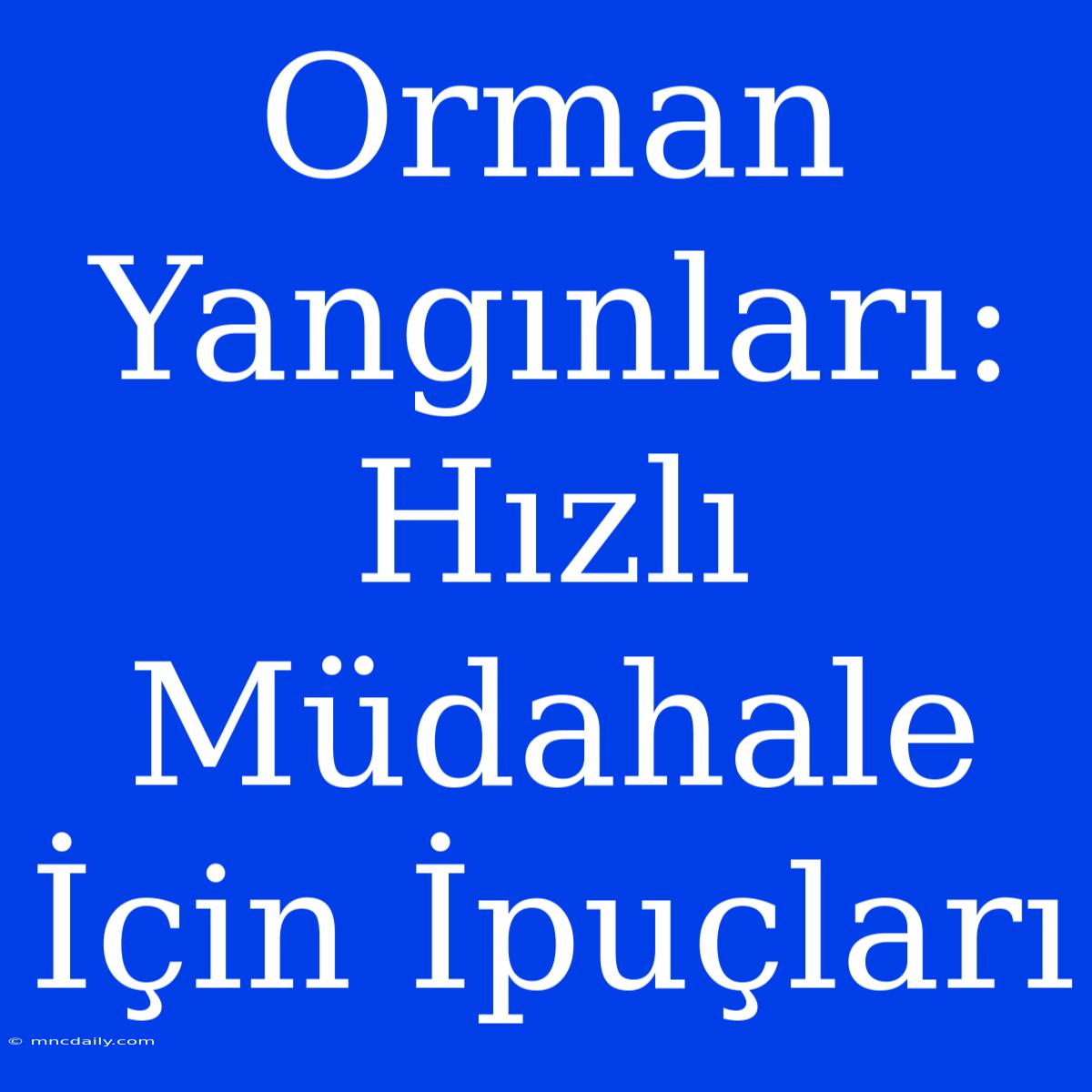 Orman Yangınları: Hızlı Müdahale İçin İpuçları