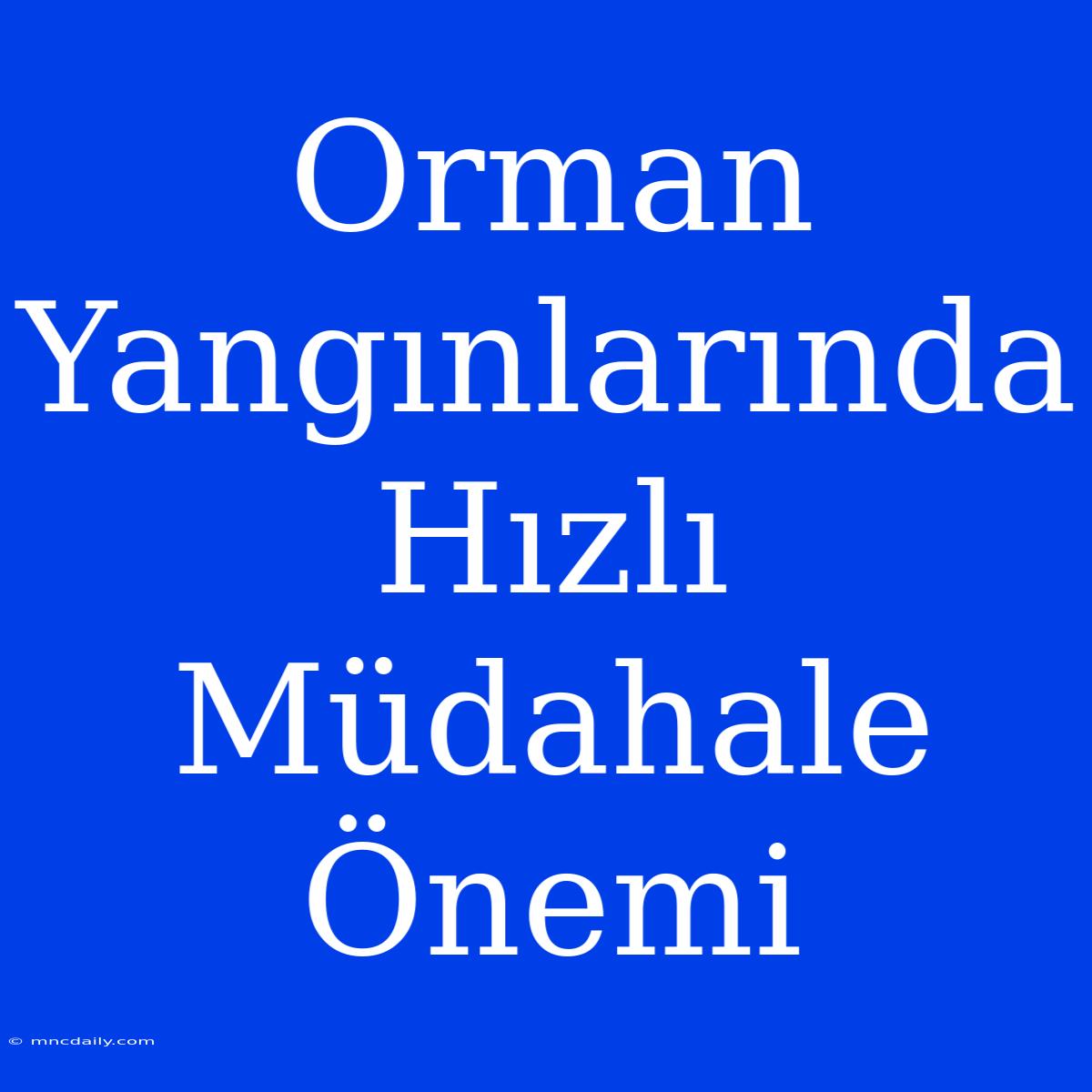 Orman Yangınlarında Hızlı Müdahale Önemi