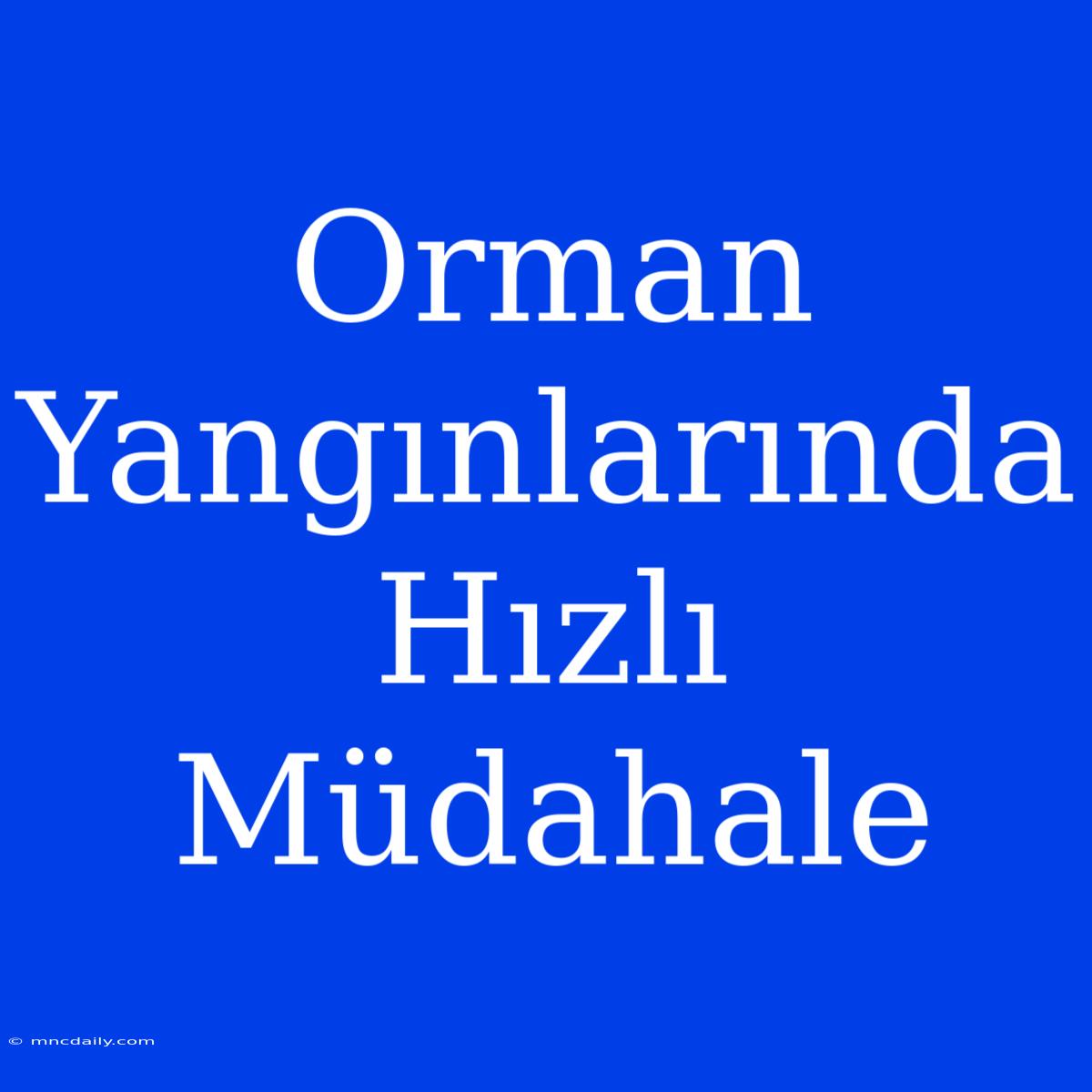 Orman Yangınlarında Hızlı Müdahale