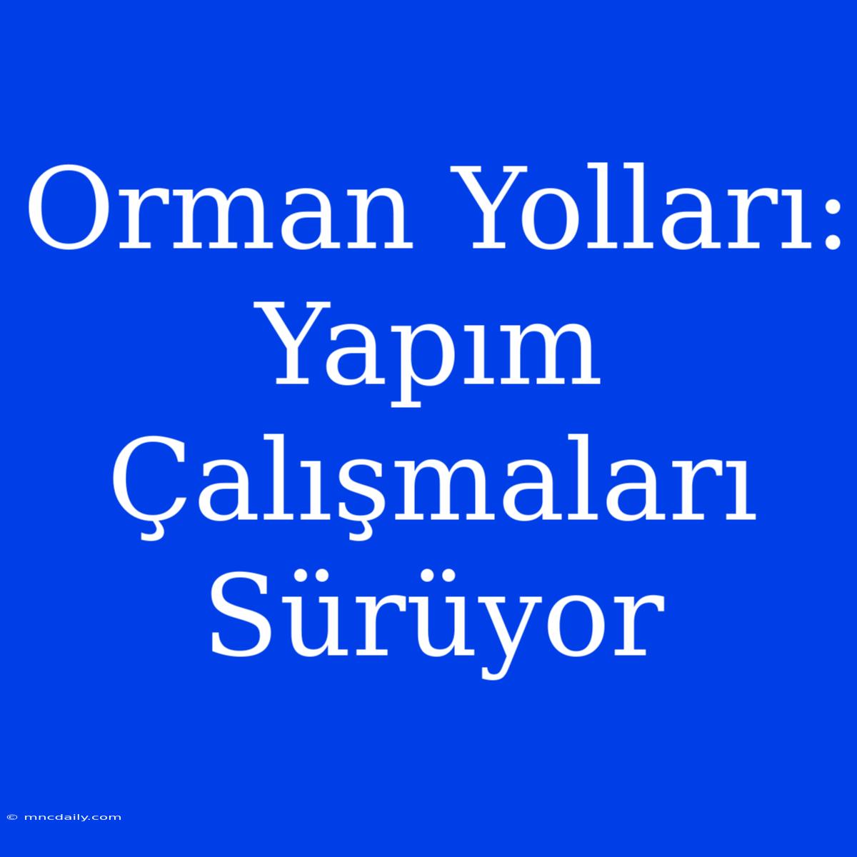 Orman Yolları: Yapım Çalışmaları Sürüyor