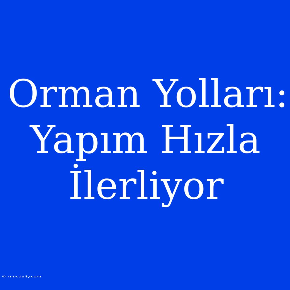 Orman Yolları: Yapım Hızla İlerliyor