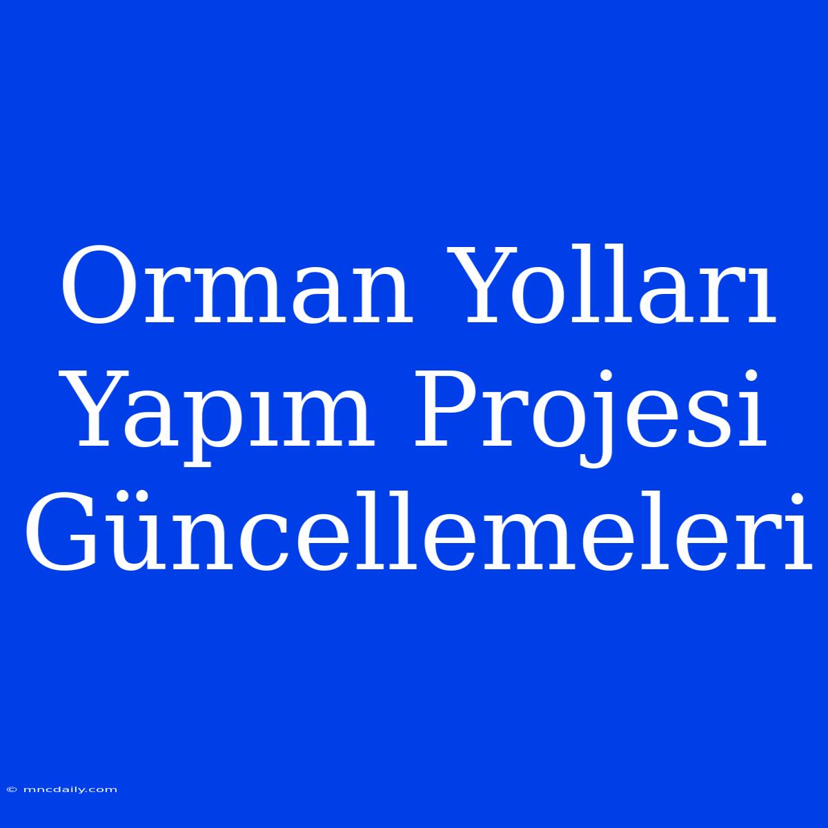 Orman Yolları Yapım Projesi Güncellemeleri