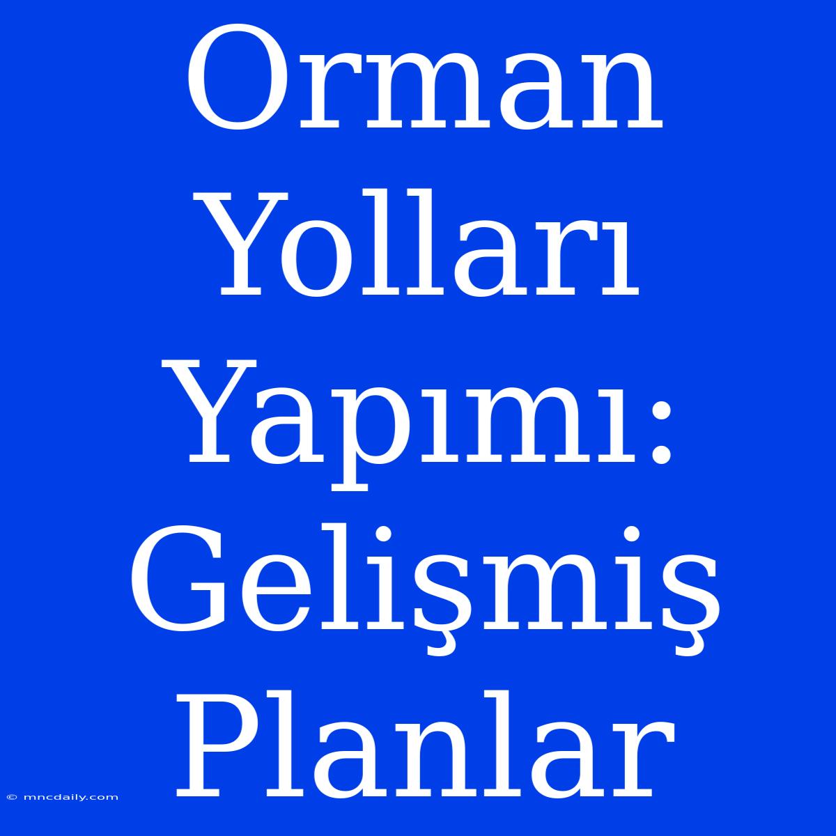 Orman Yolları Yapımı: Gelişmiş Planlar