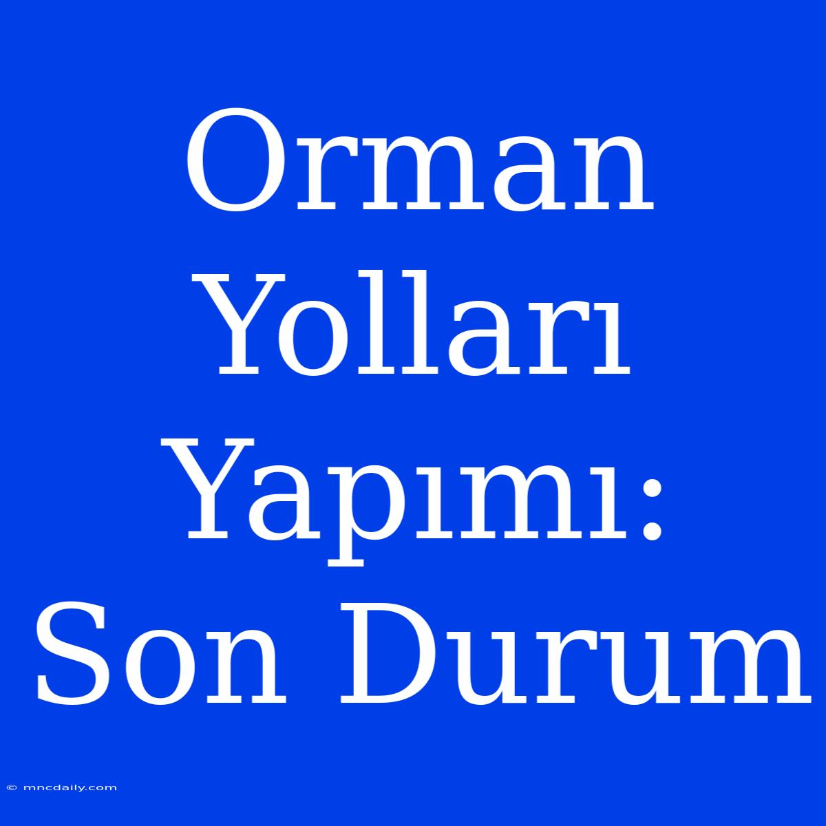 Orman Yolları Yapımı: Son Durum