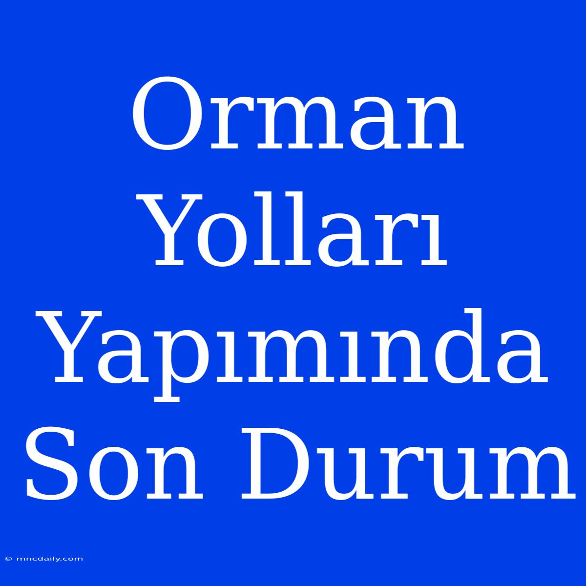 Orman Yolları Yapımında Son Durum  