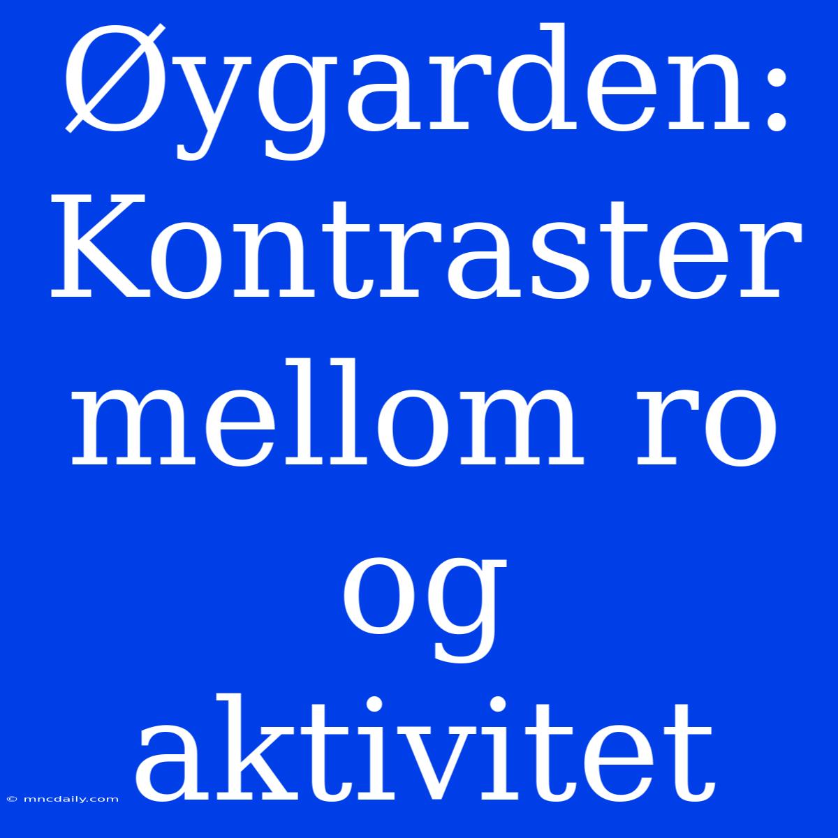 Øygarden: Kontraster Mellom Ro Og Aktivitet