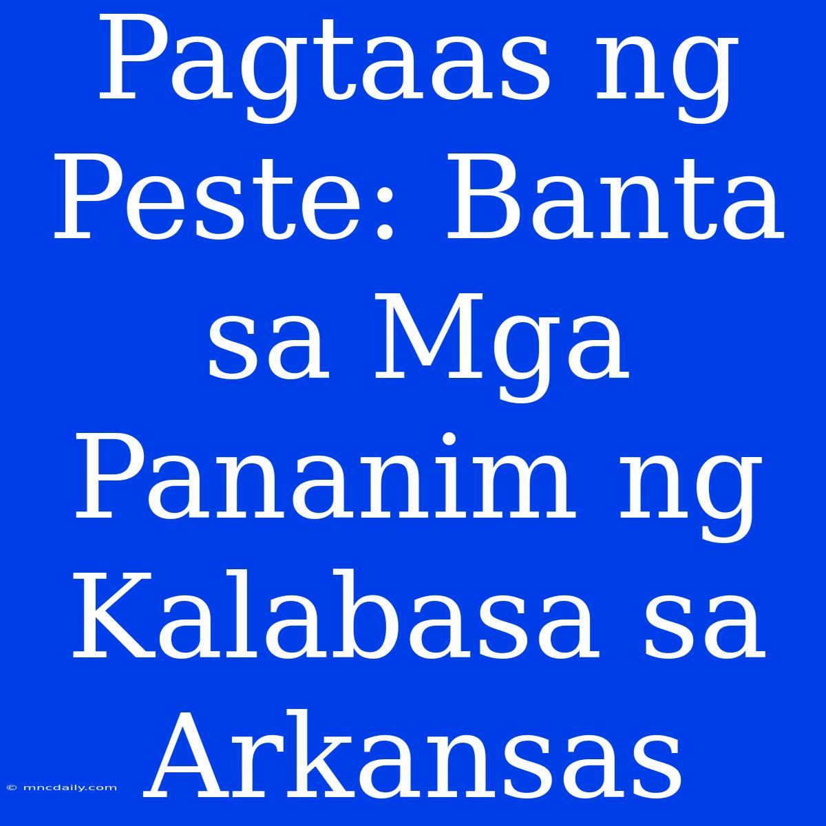 Pagtaas Ng Peste: Banta Sa Mga Pananim Ng Kalabasa Sa Arkansas