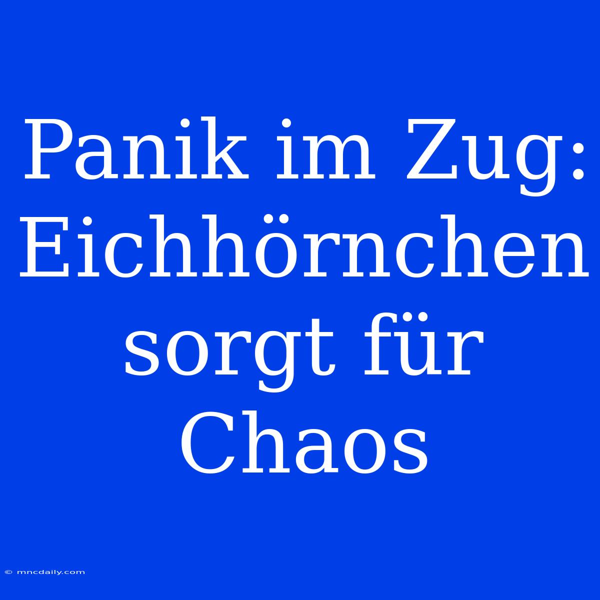 Panik Im Zug: Eichhörnchen Sorgt Für Chaos