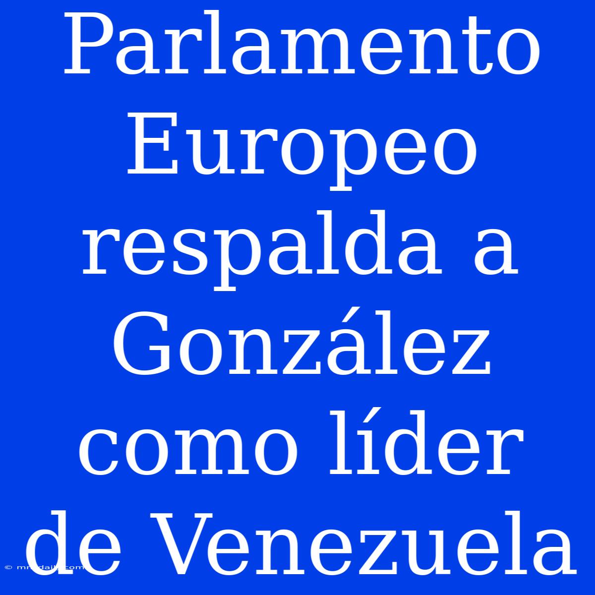 Parlamento Europeo Respalda A González Como Líder De Venezuela