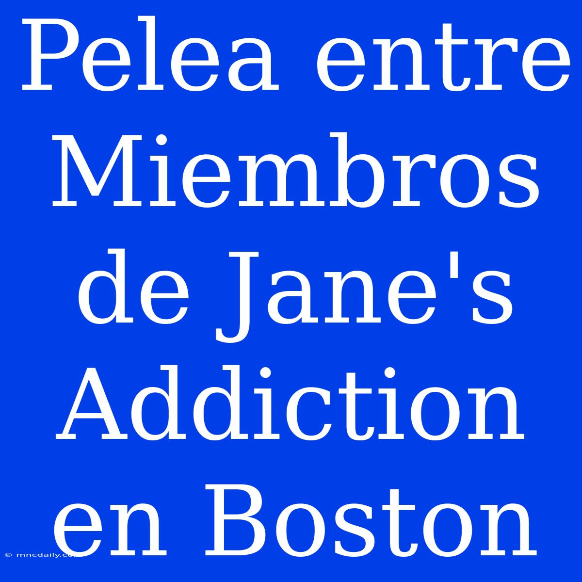 Pelea Entre Miembros De Jane's Addiction En Boston