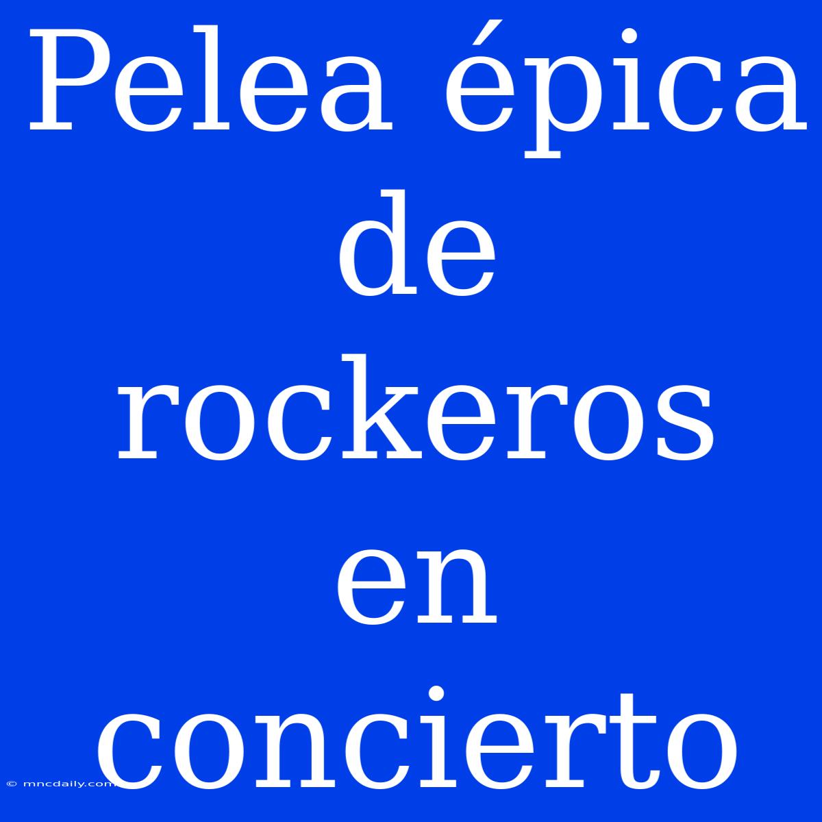 Pelea Épica De Rockeros En Concierto