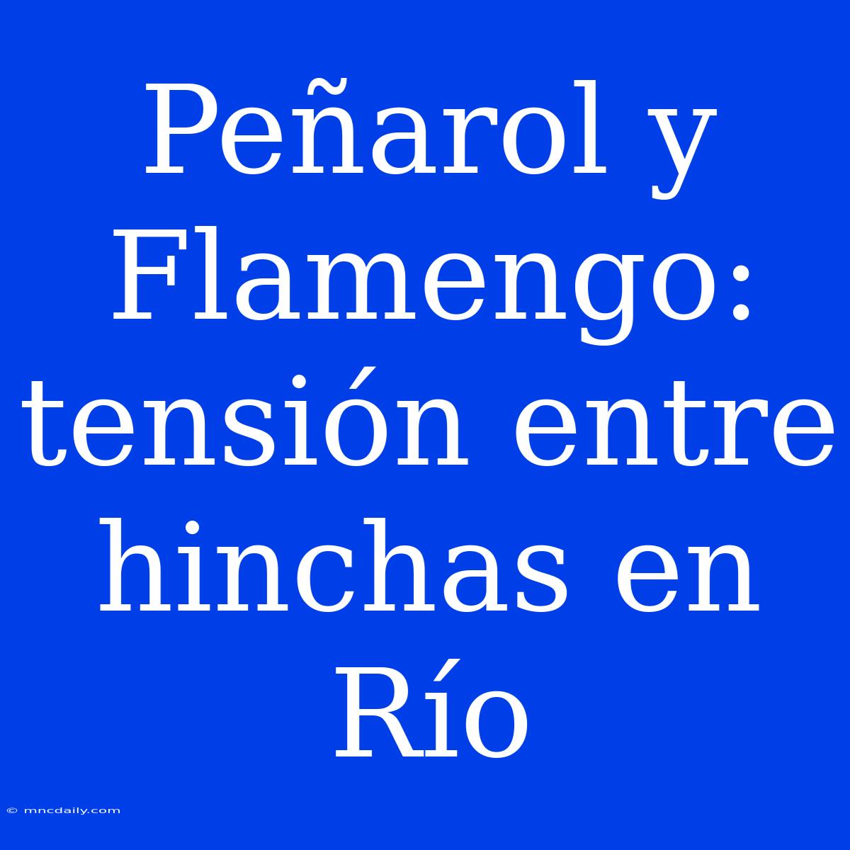 Peñarol Y Flamengo: Tensión Entre Hinchas En Río