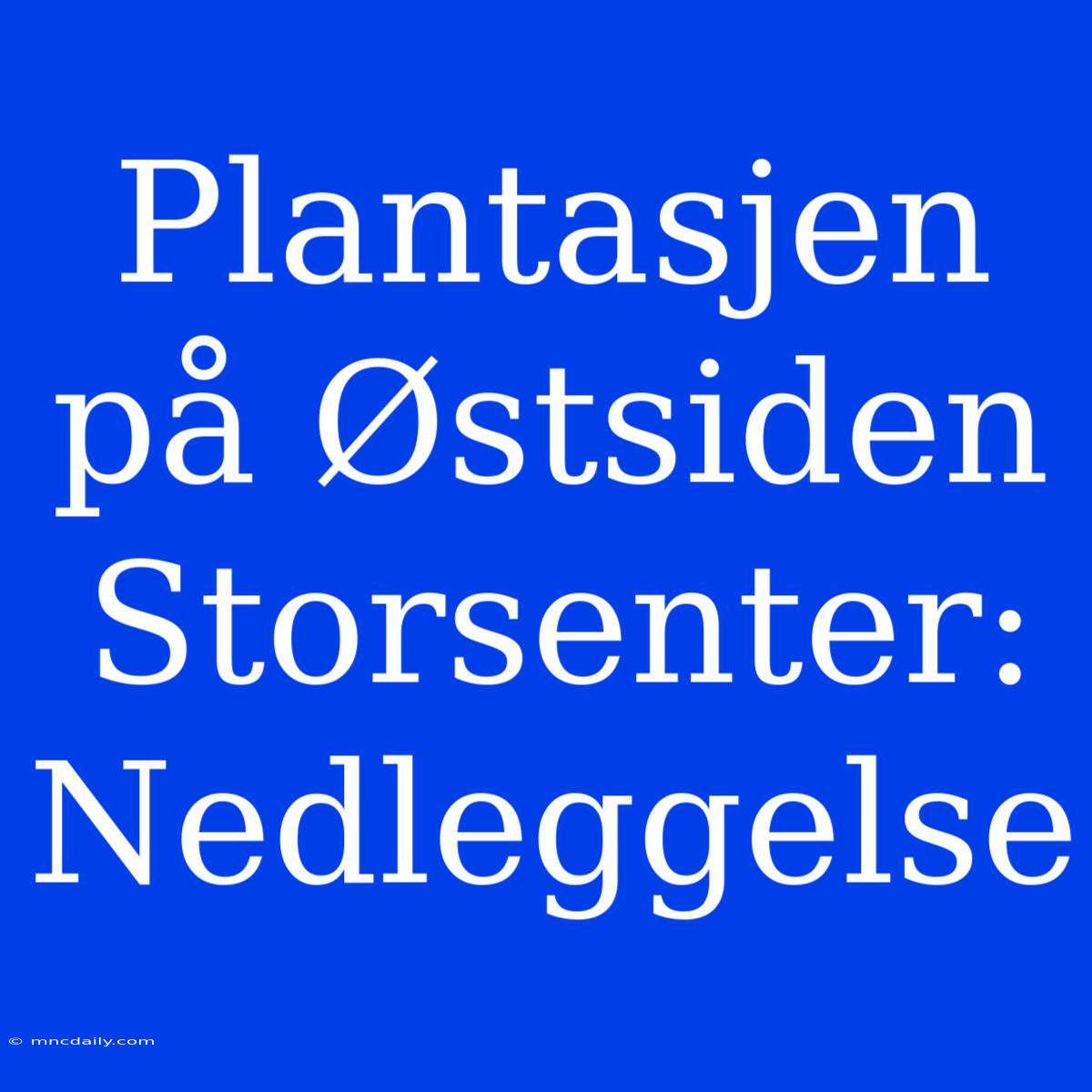 Plantasjen På Østsiden Storsenter: Nedleggelse