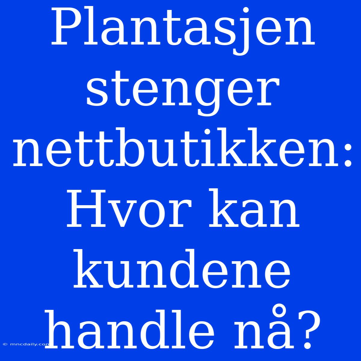 Plantasjen Stenger Nettbutikken: Hvor Kan Kundene Handle Nå?