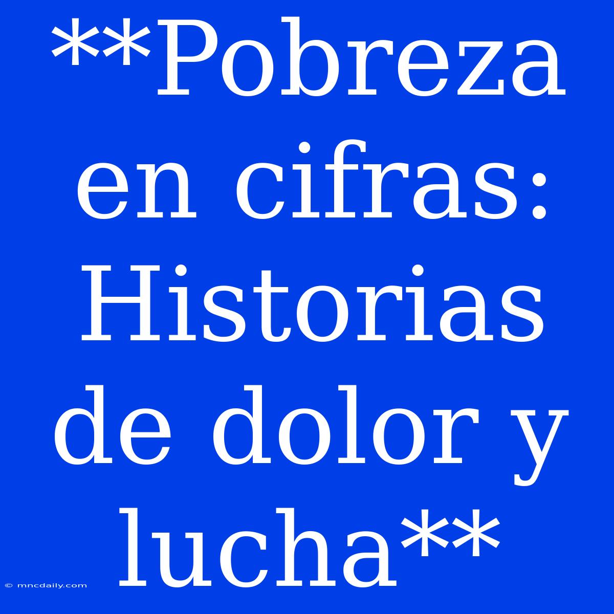 **Pobreza En Cifras: Historias De Dolor Y Lucha**