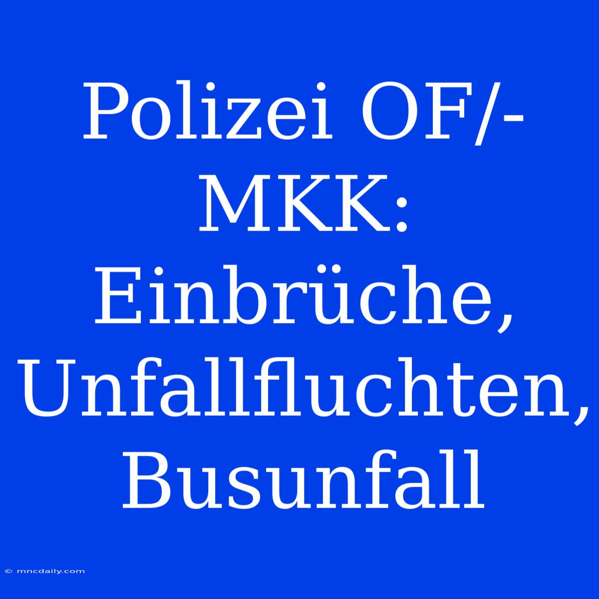 Polizei OF/-MKK: Einbrüche, Unfallfluchten, Busunfall